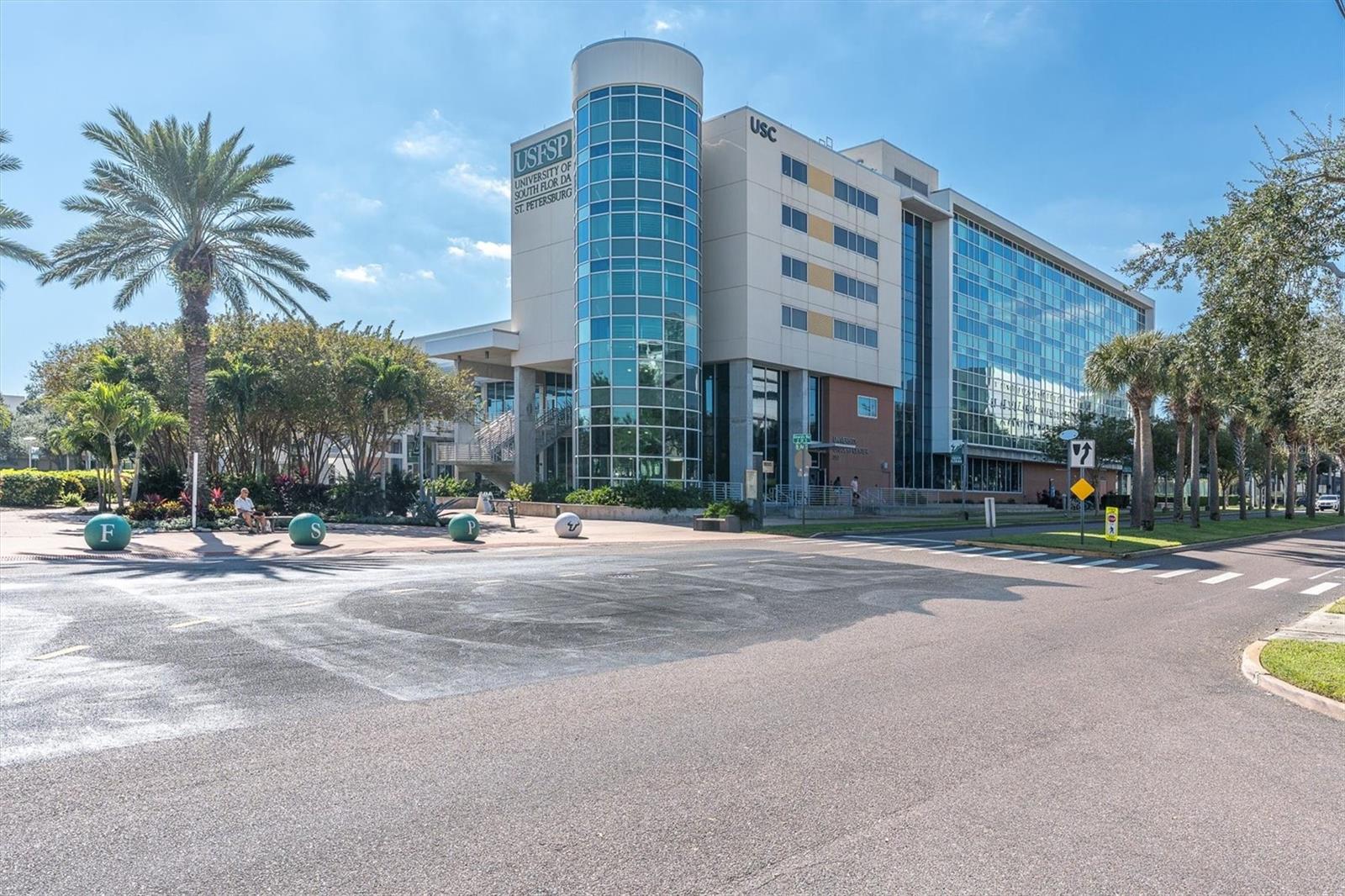 USF Downtown St Pete