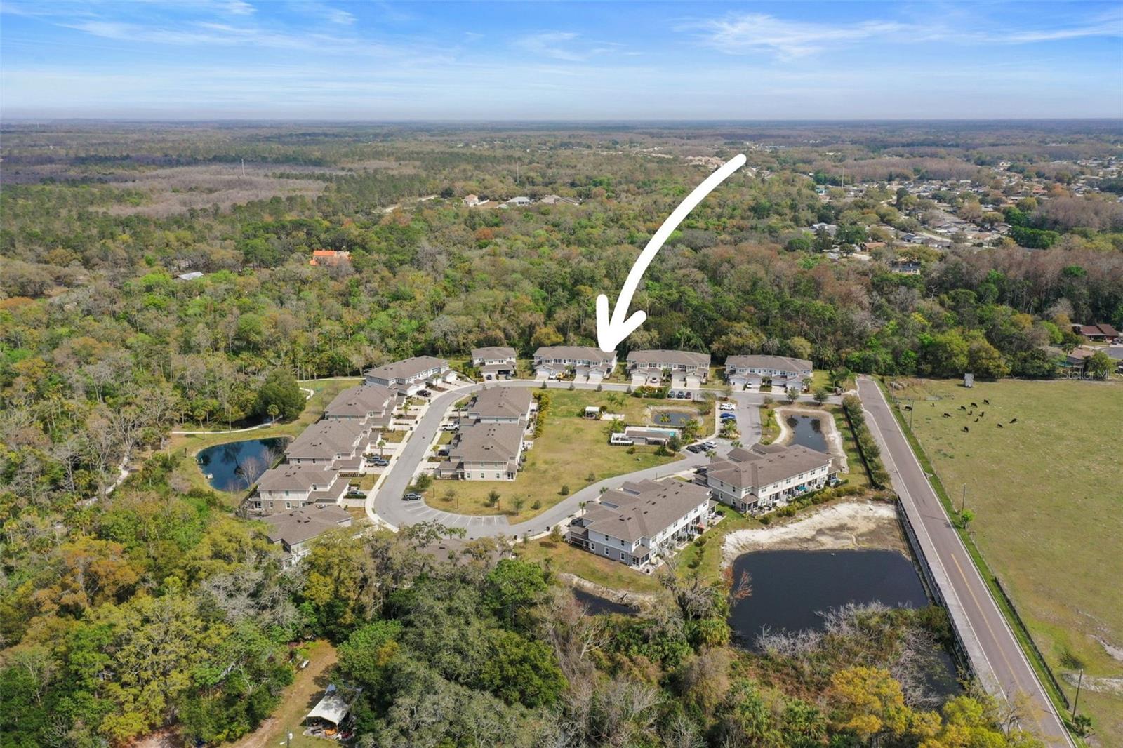 Aerial view of the community