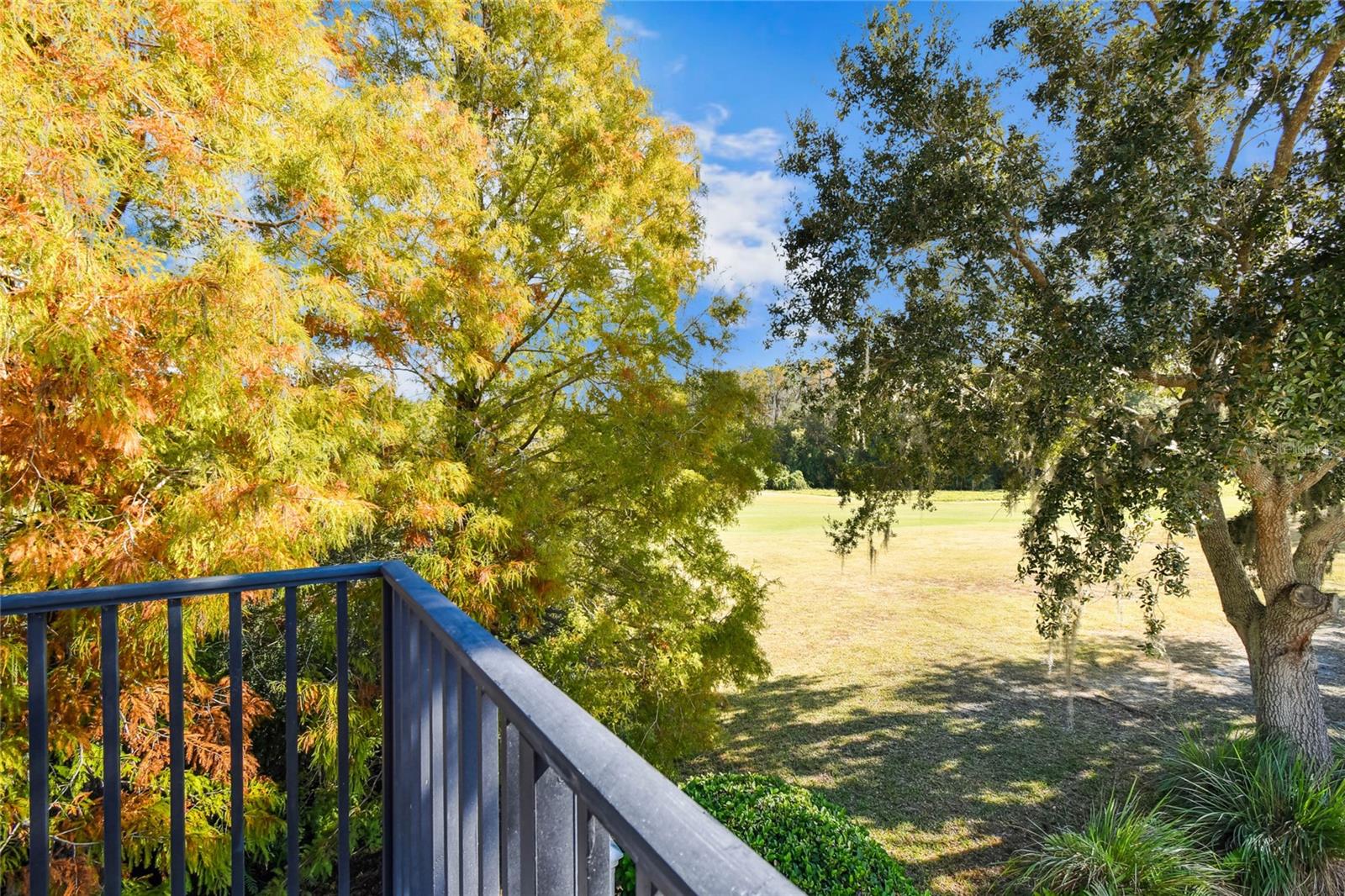 Looking out onto the course