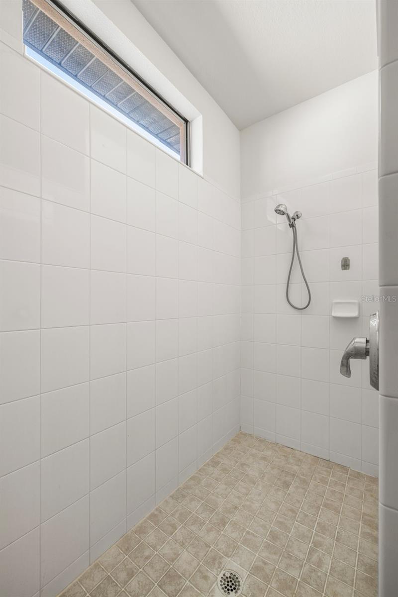 Primary bathroom shower stall