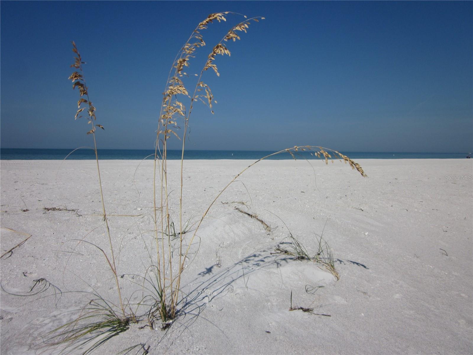 Pristine & quiet beach