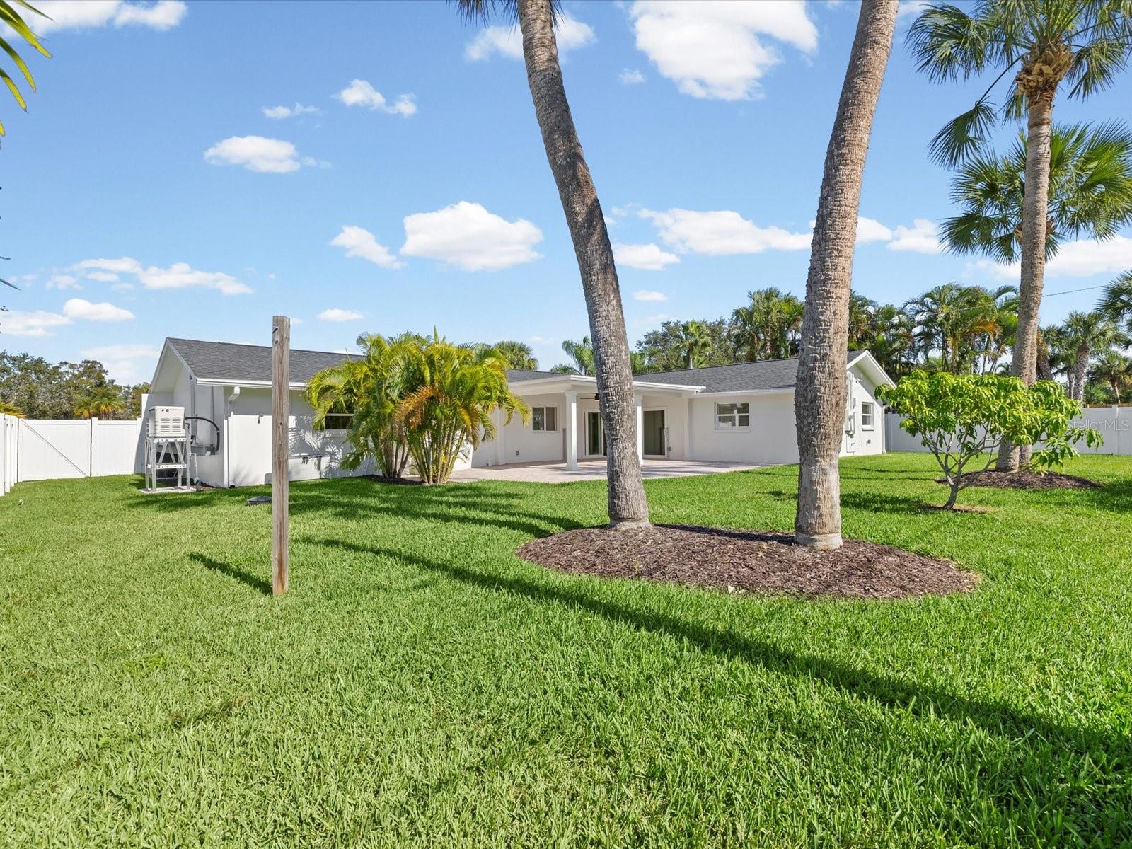 Huge Backyard for swimming pool!
