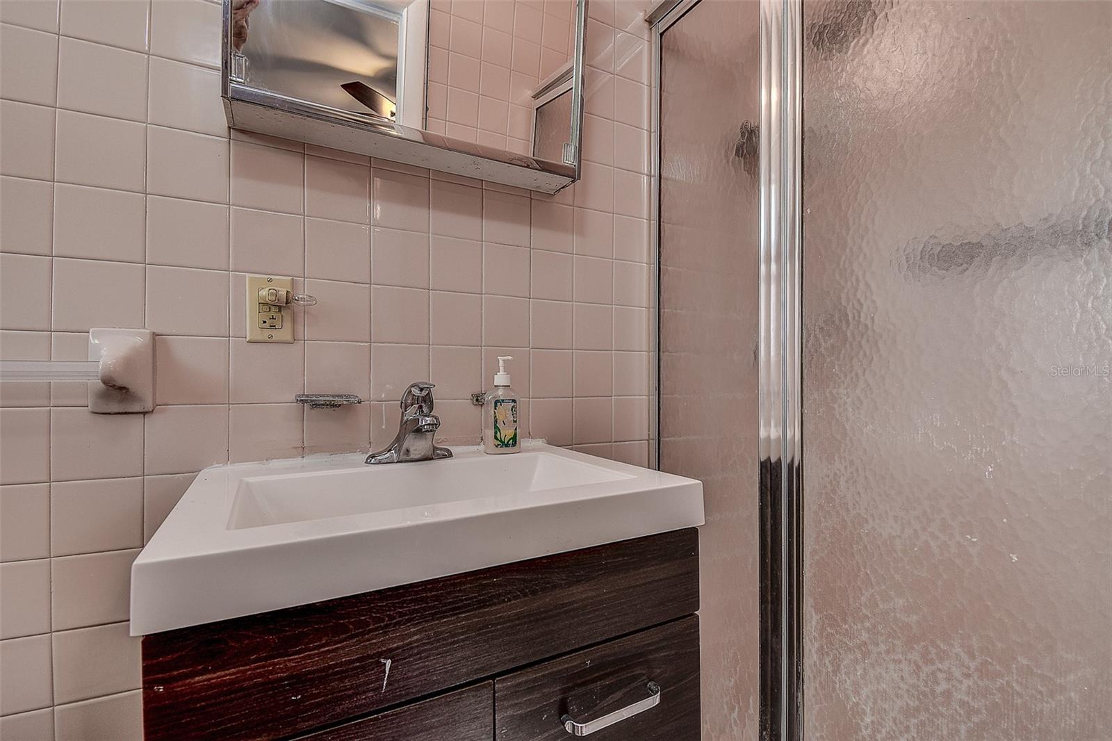 Primary Bathroom w/ Shower