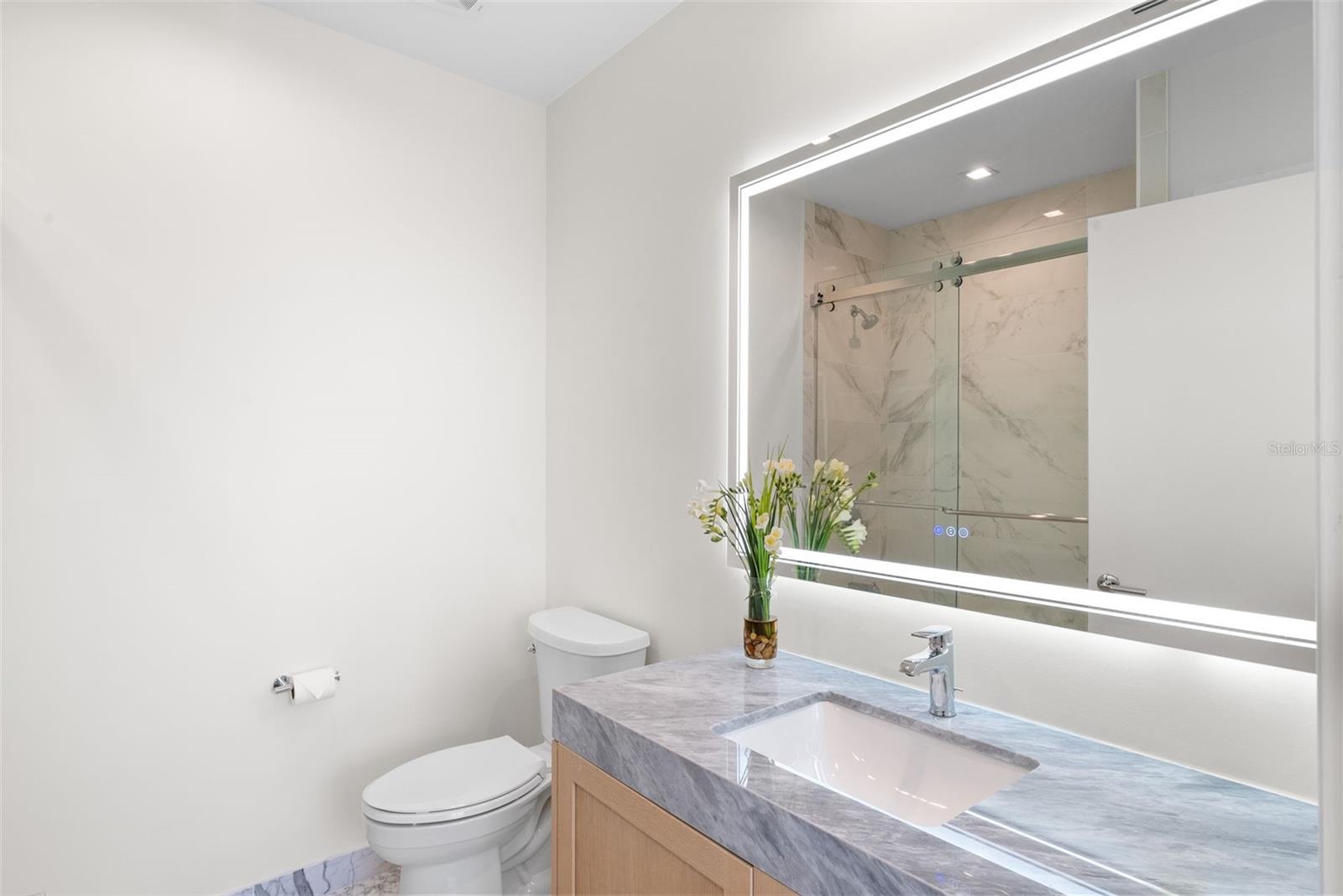 Spare Bathroom with Shower