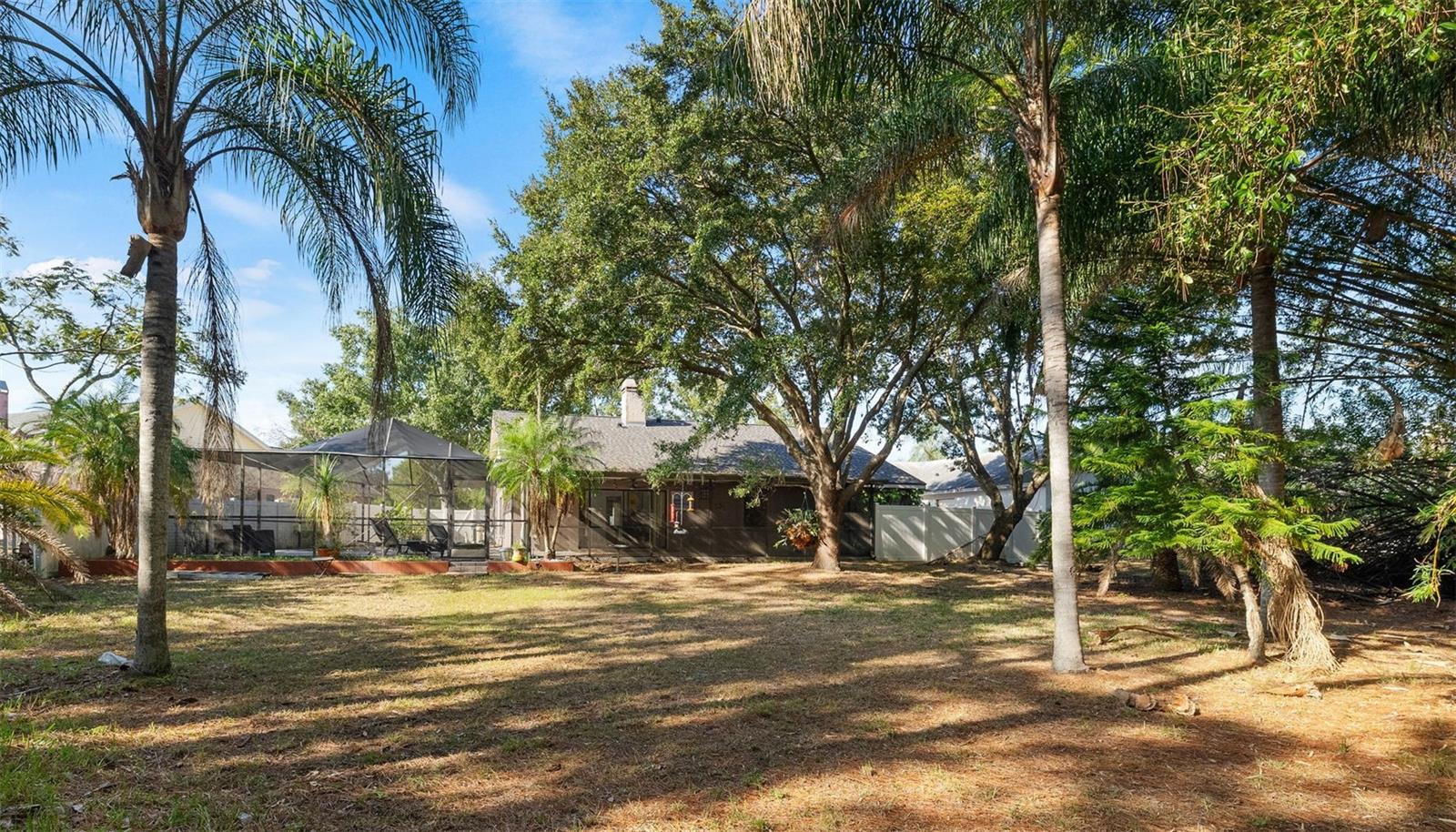 View of the pool area from the back yard. The privacy and nature is worth living here.