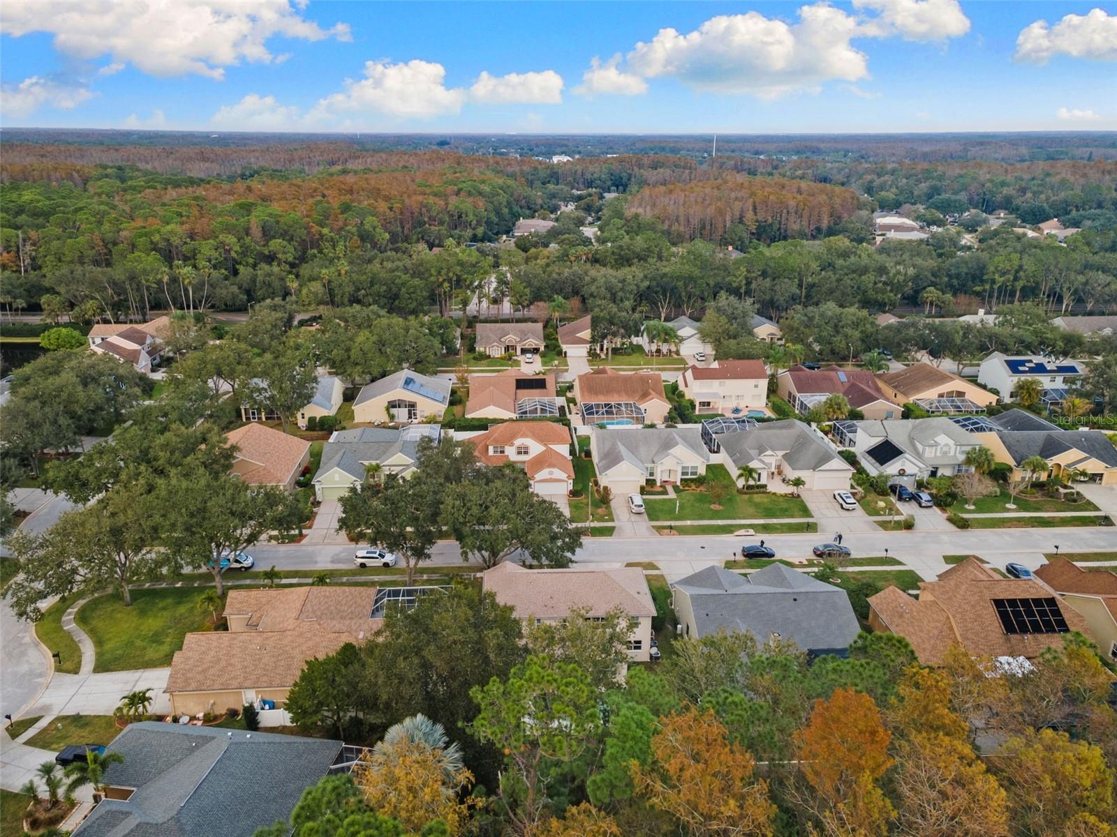 Aerial View of Neighborhood
