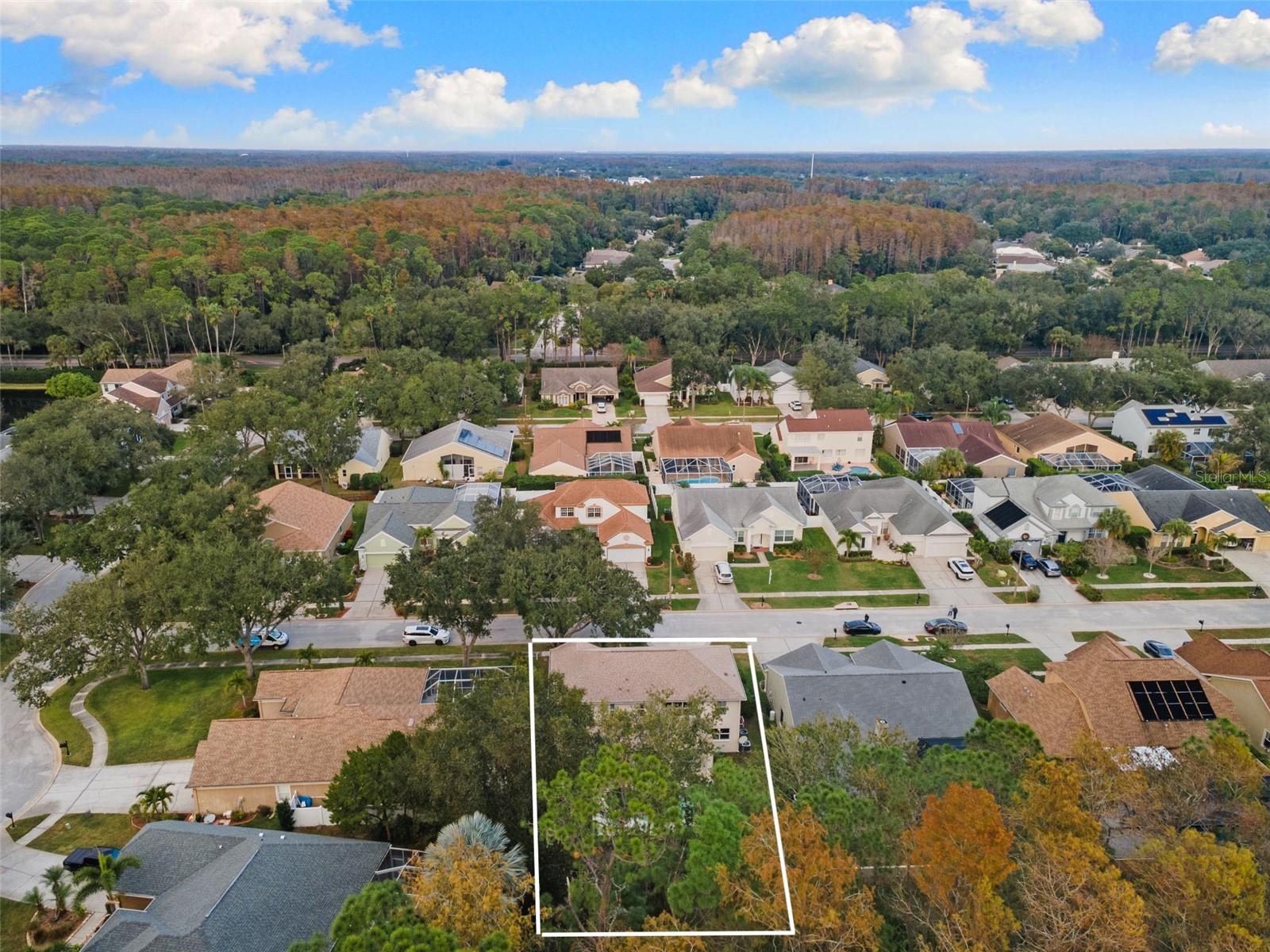 Outlie of the property