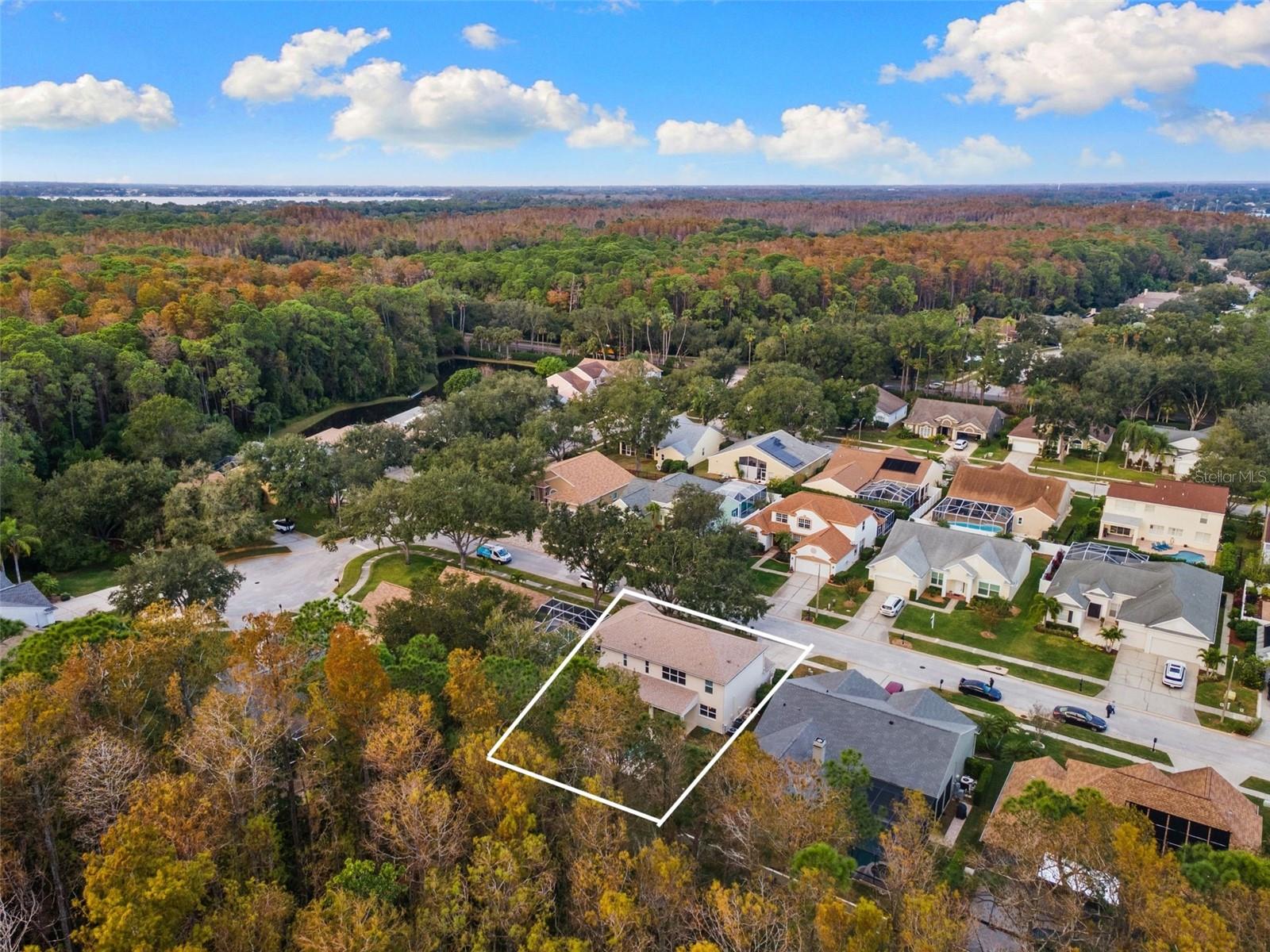 Outline of the property