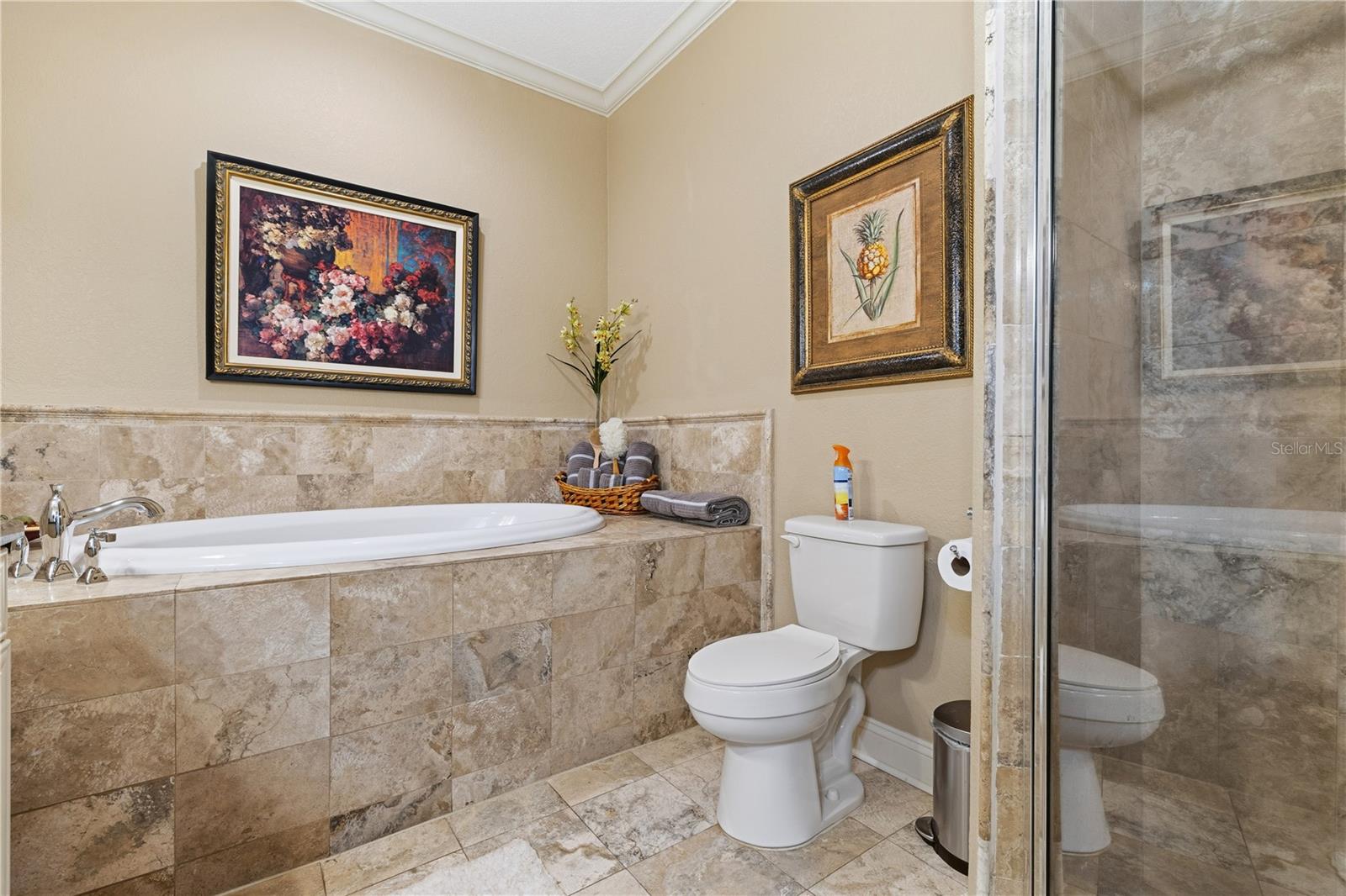 Walk-in shower and soaking tub