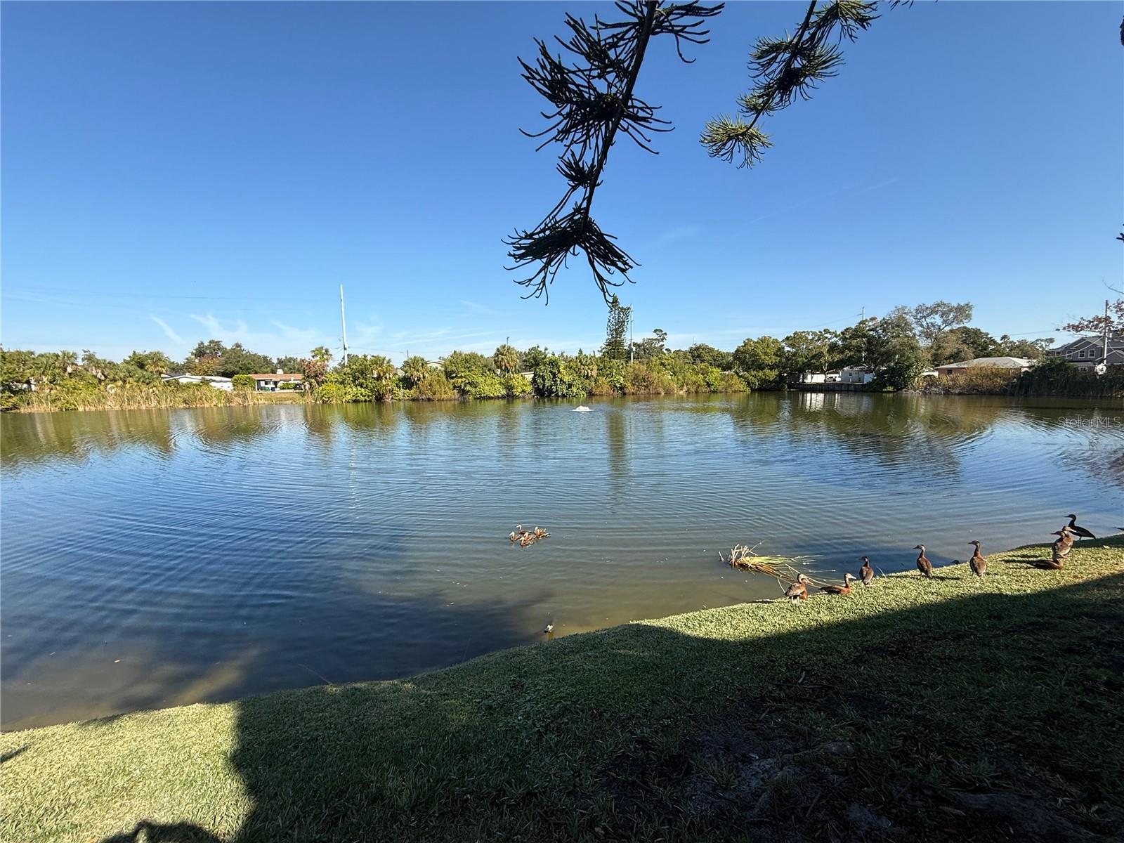 Sheridan Woods community pond