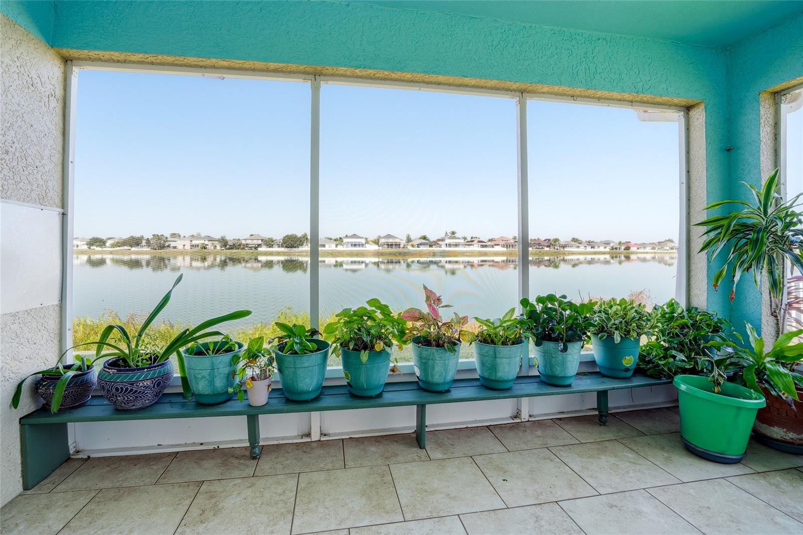 glorious screened porch with thriving plants that are available