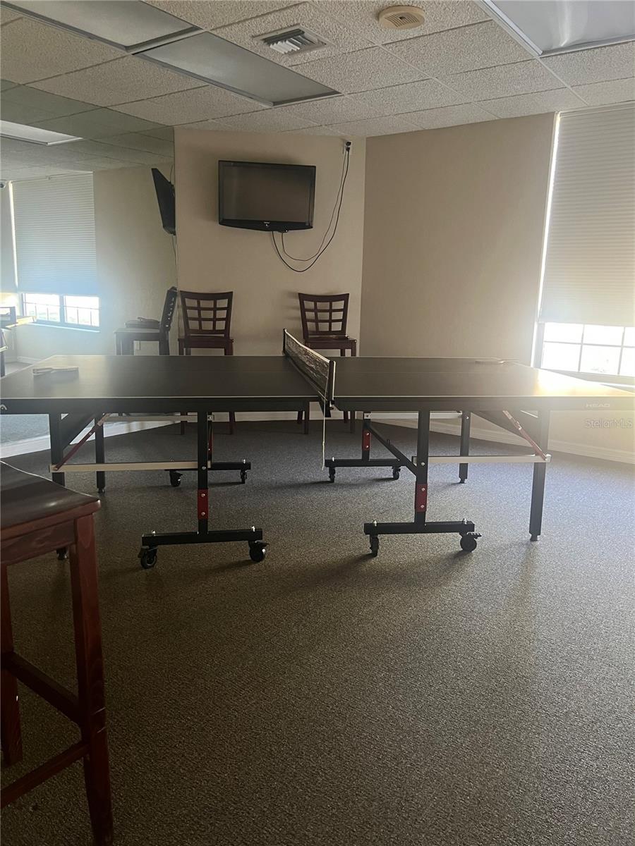ping pong room