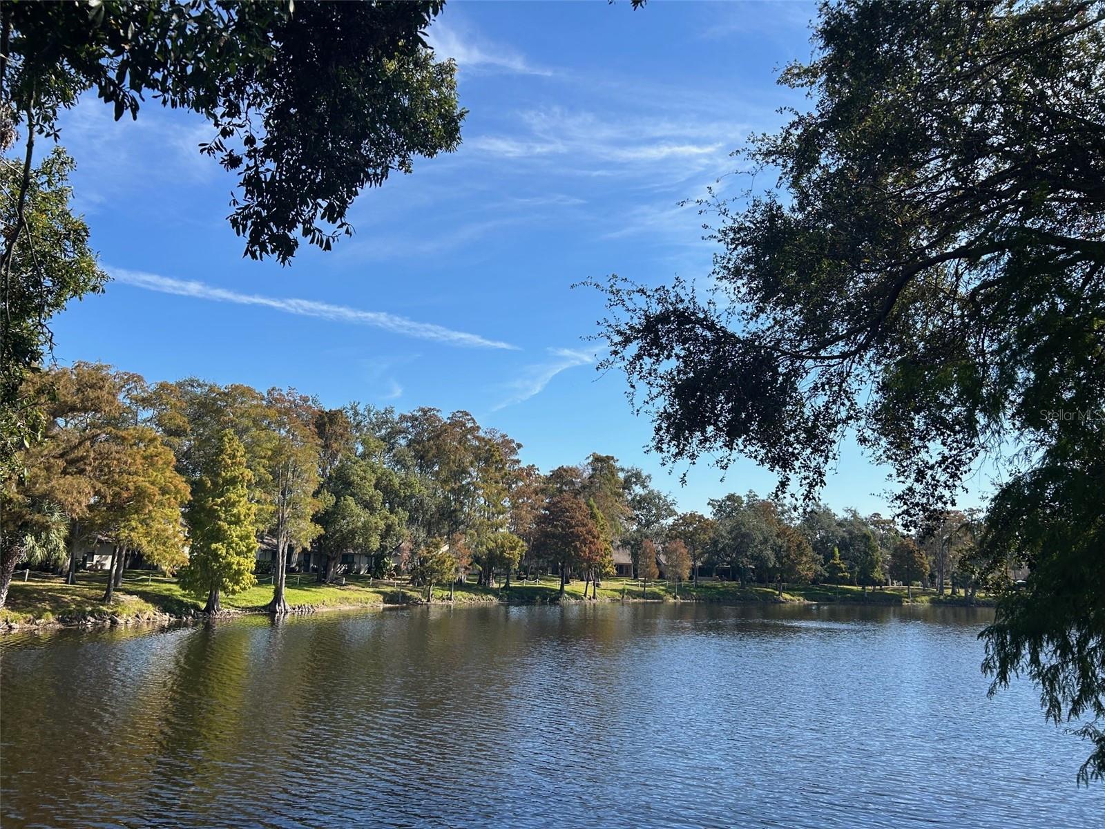 View Of Lake From Villa