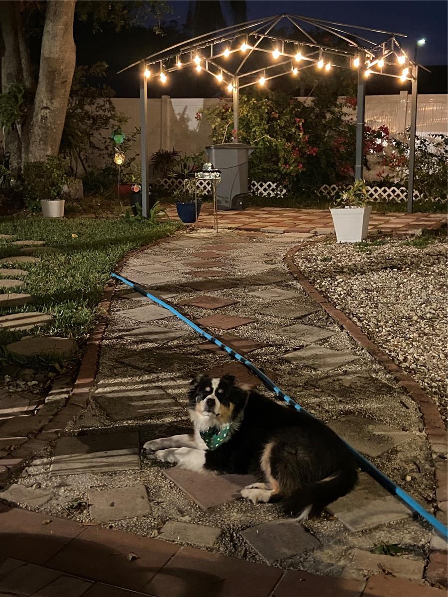 Lots of lights at night