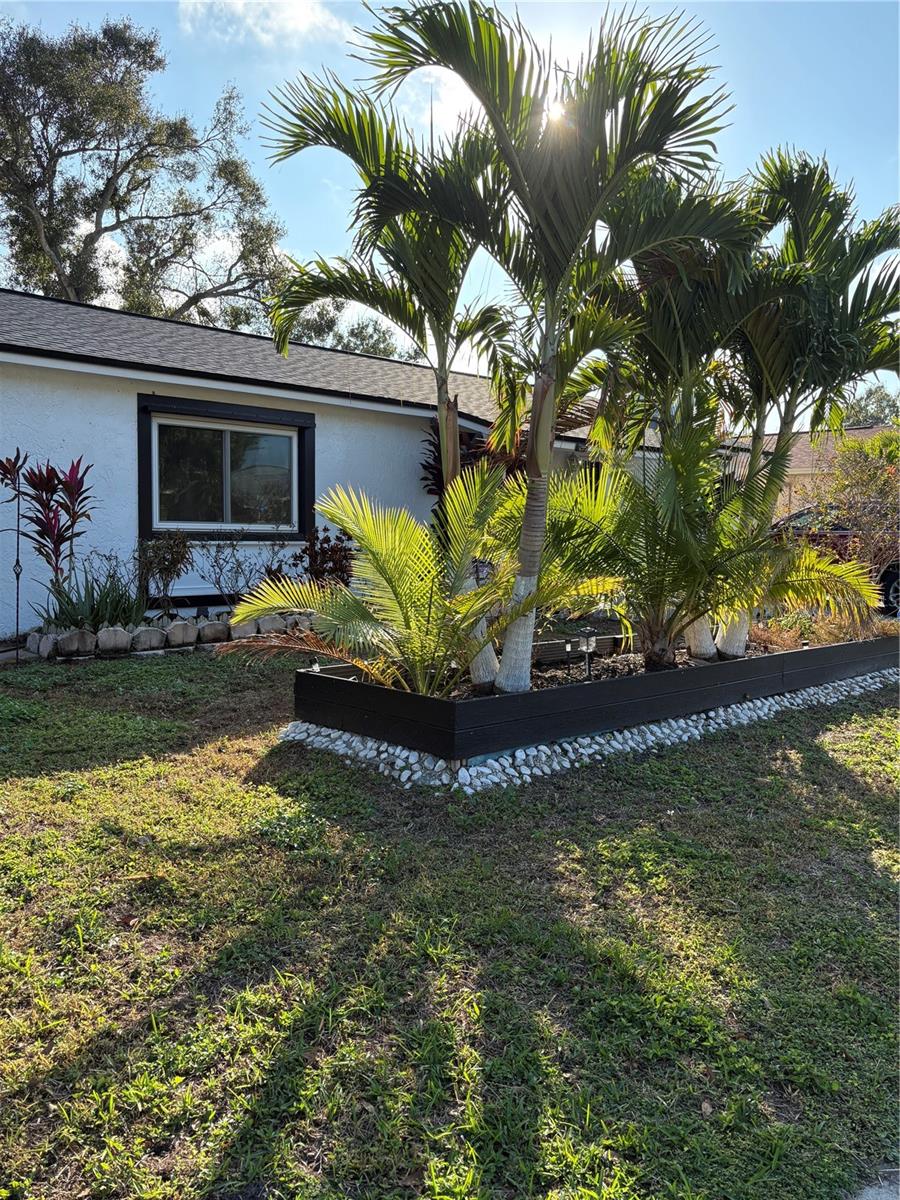Raised Beds for Flowers and trees