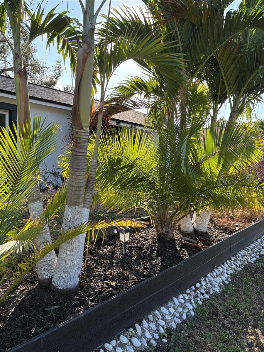 Front views from the street