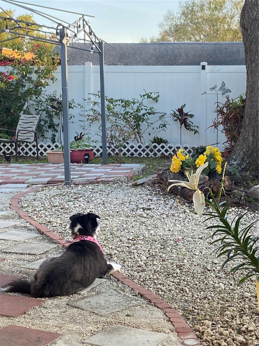 Lots of critters to watch