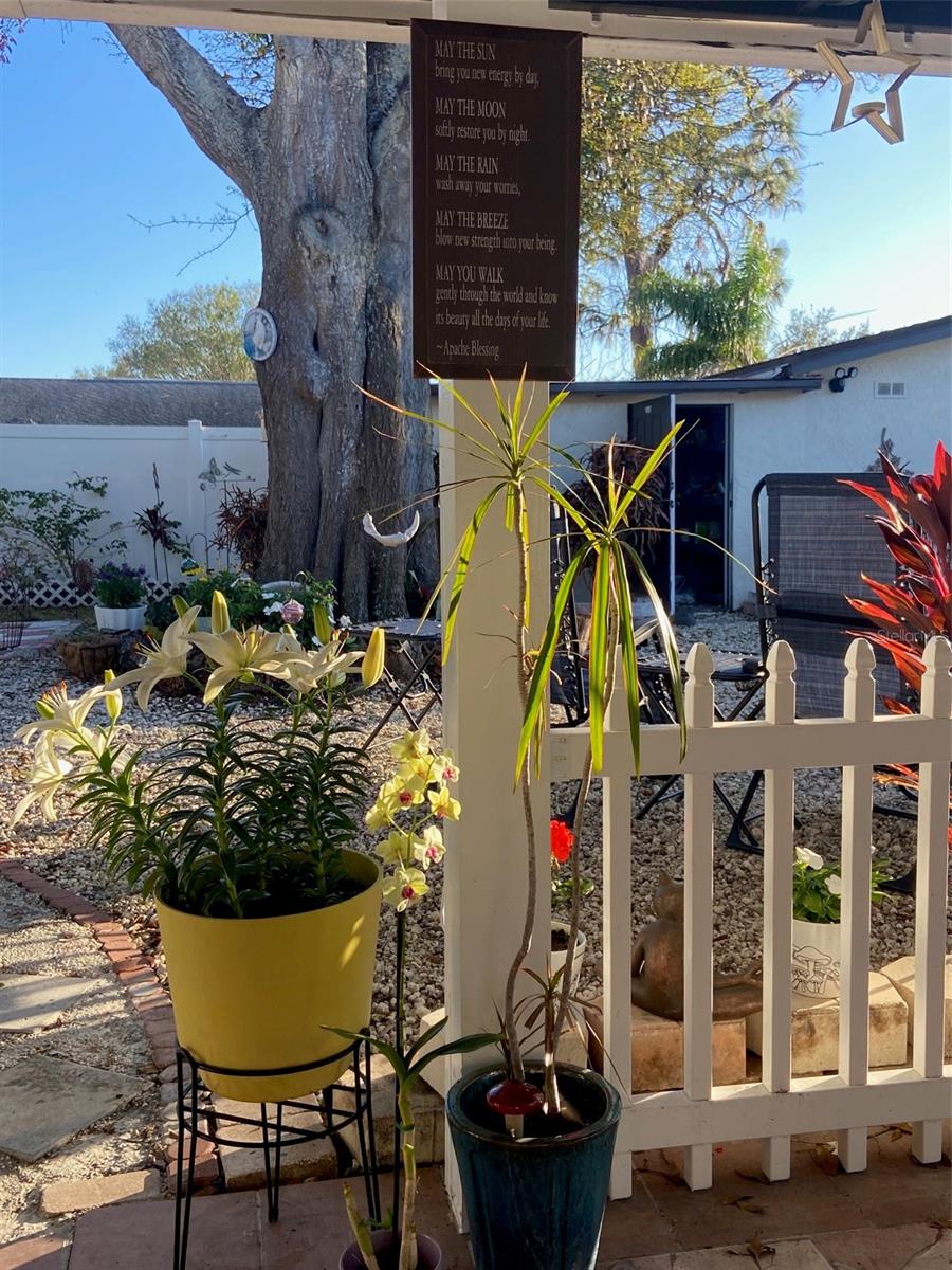 View from the covered tile Patio
