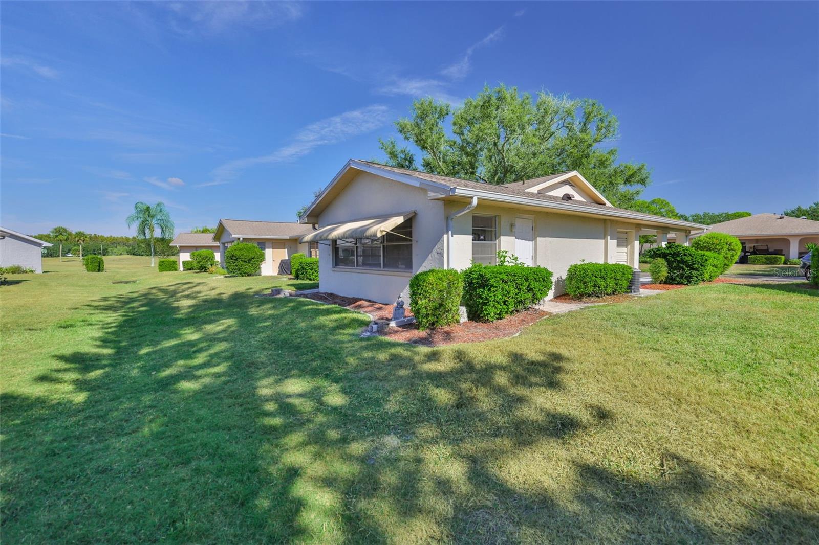 Large space in Backyard