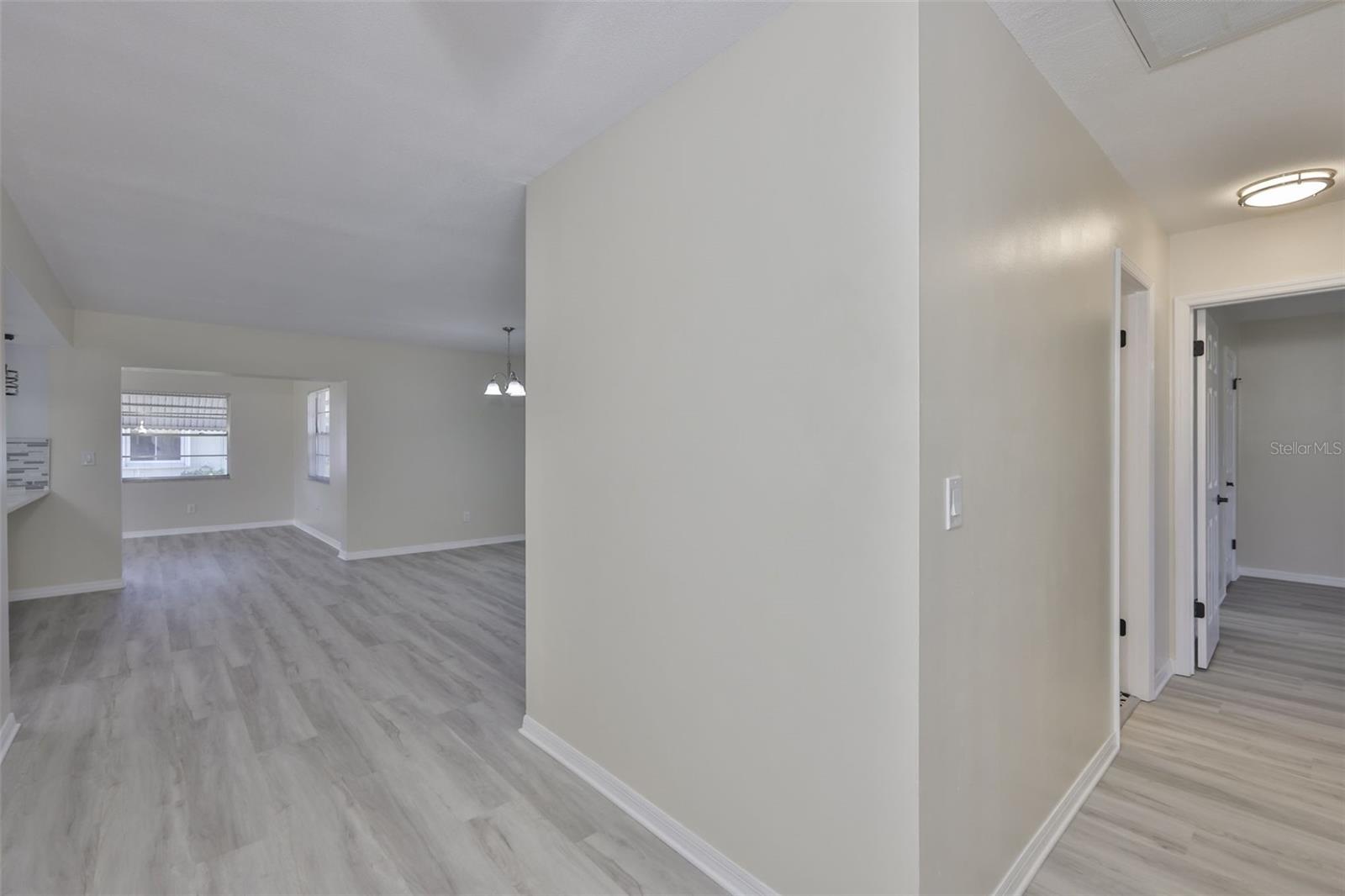 Looking from the front door