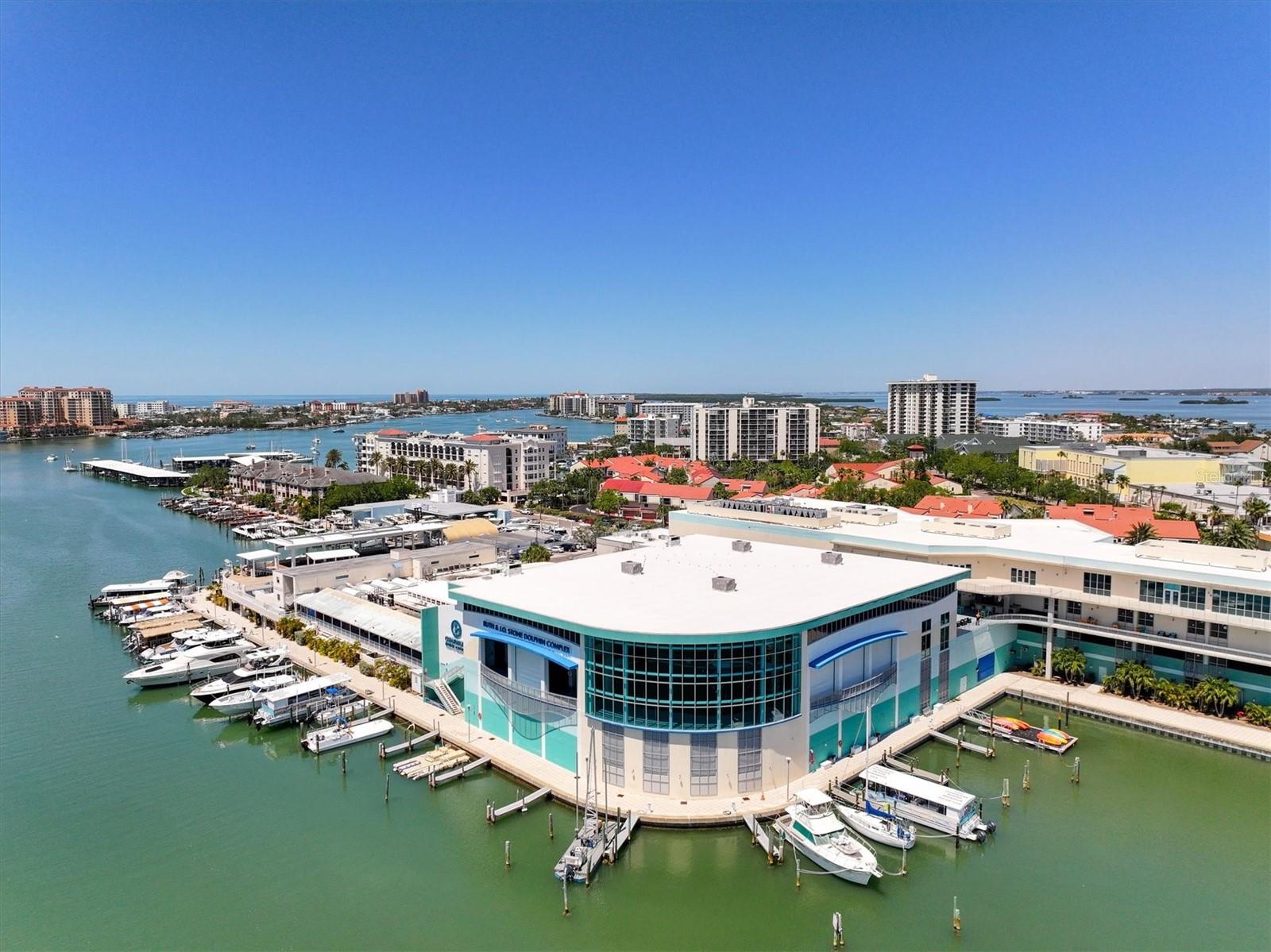 Clearwater Marine Aquarium