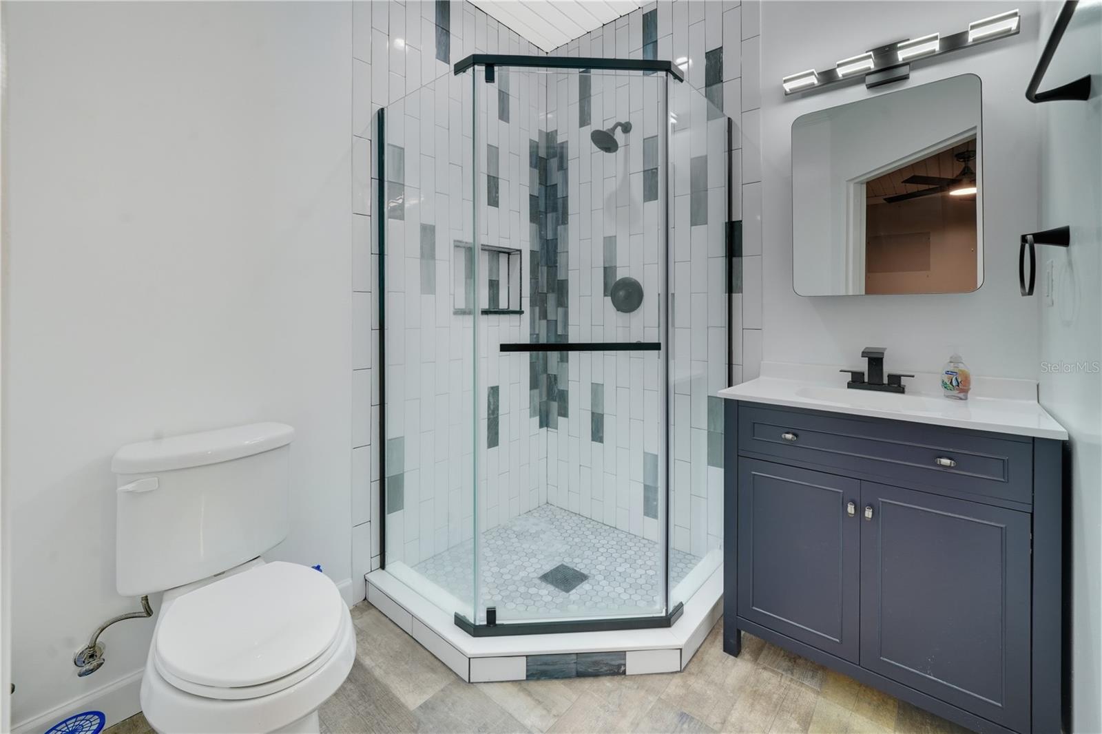 Mother-n-law suite bathroom