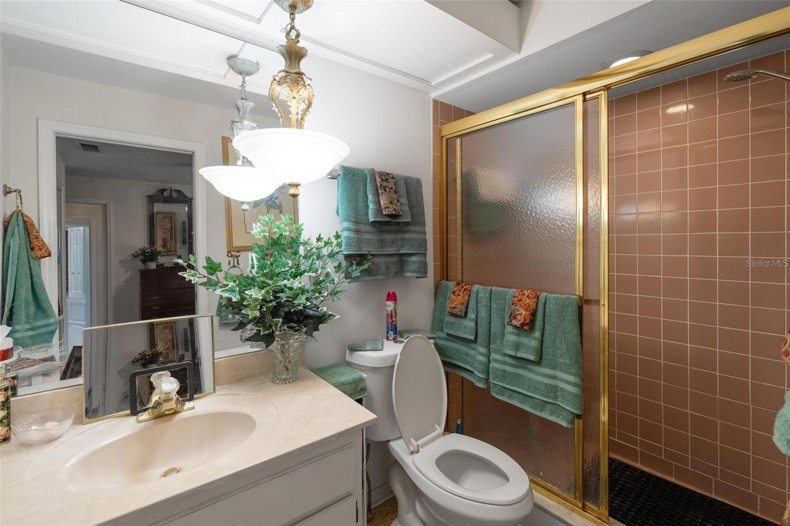 En-Suite bath for 2nd guest room