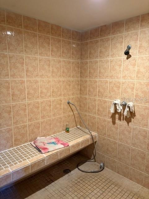 Wheelchair Accessible Bath 3