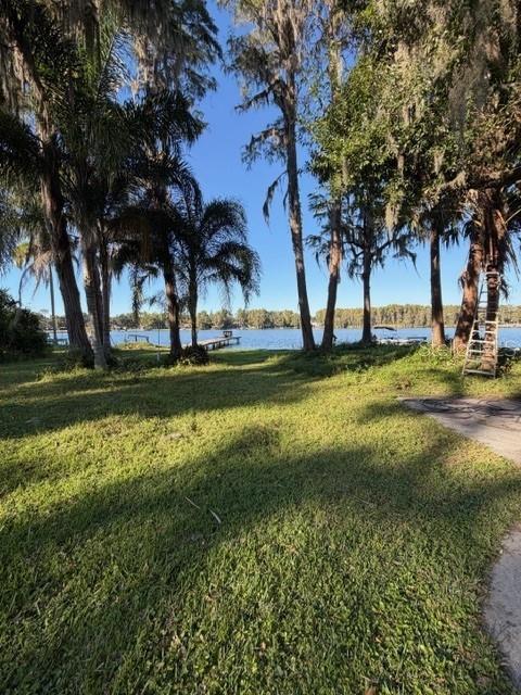 Backyard Lake View 2