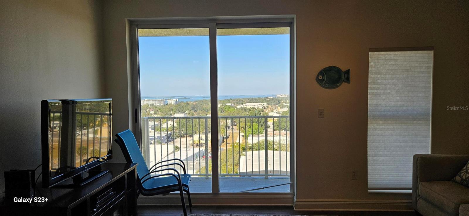 View from Living Room