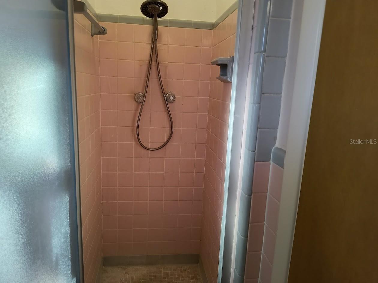 Walk-in shower Jack and Jill Bathroom