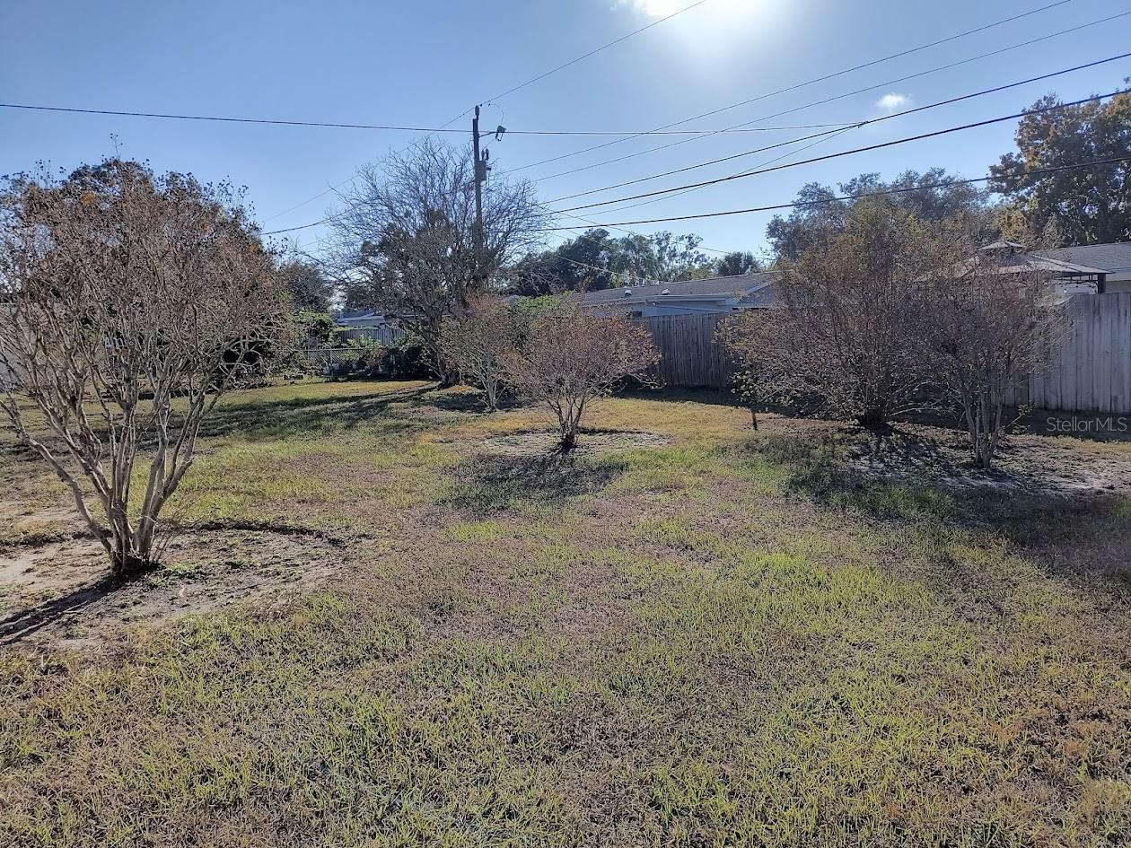 View of backyard looking Southwest