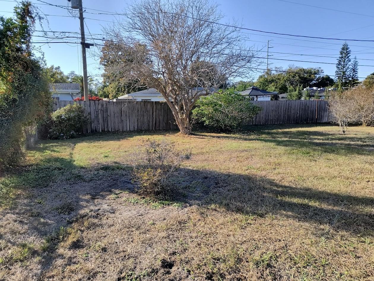 Northside of backyard