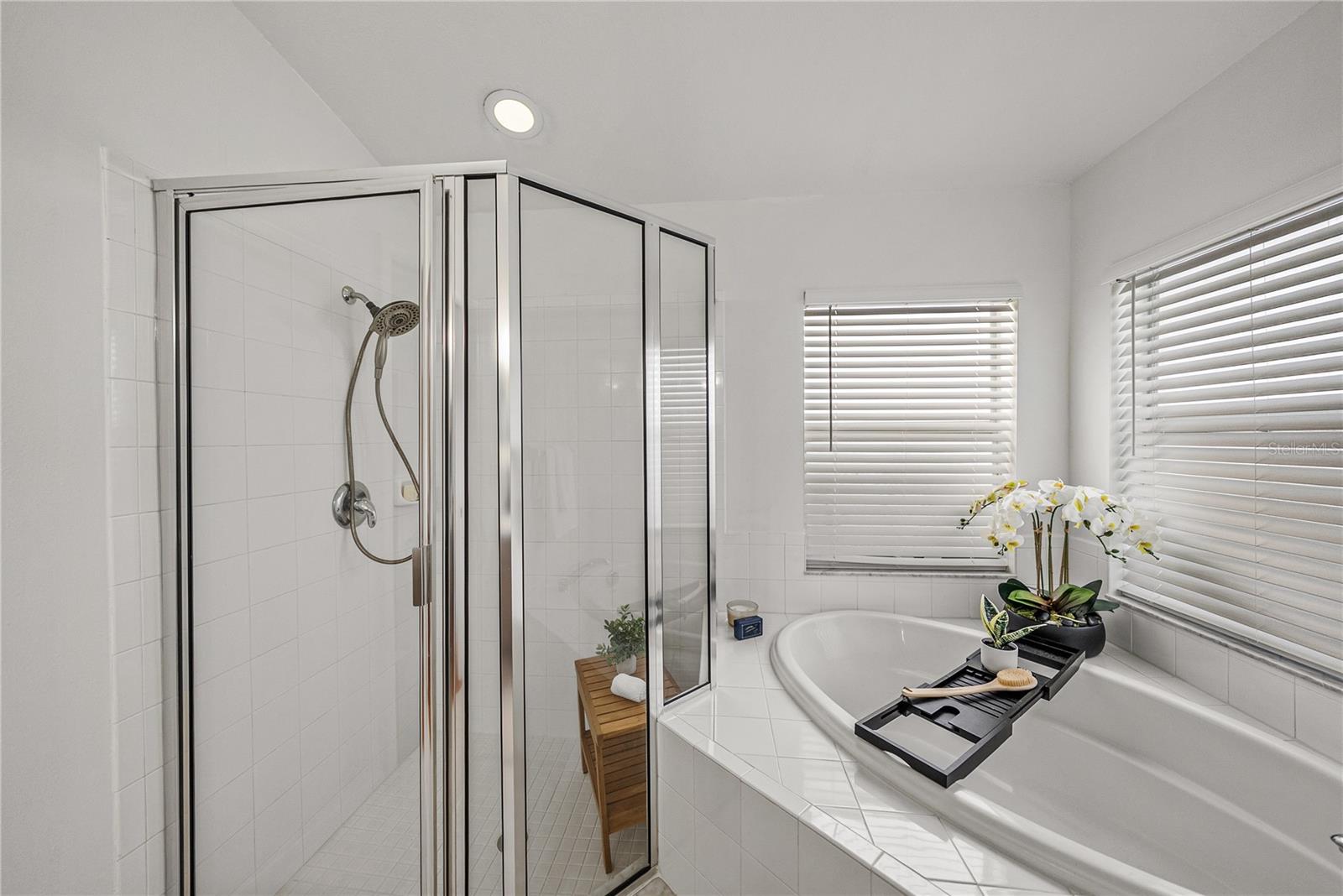 Primary Suite Tub and Shower