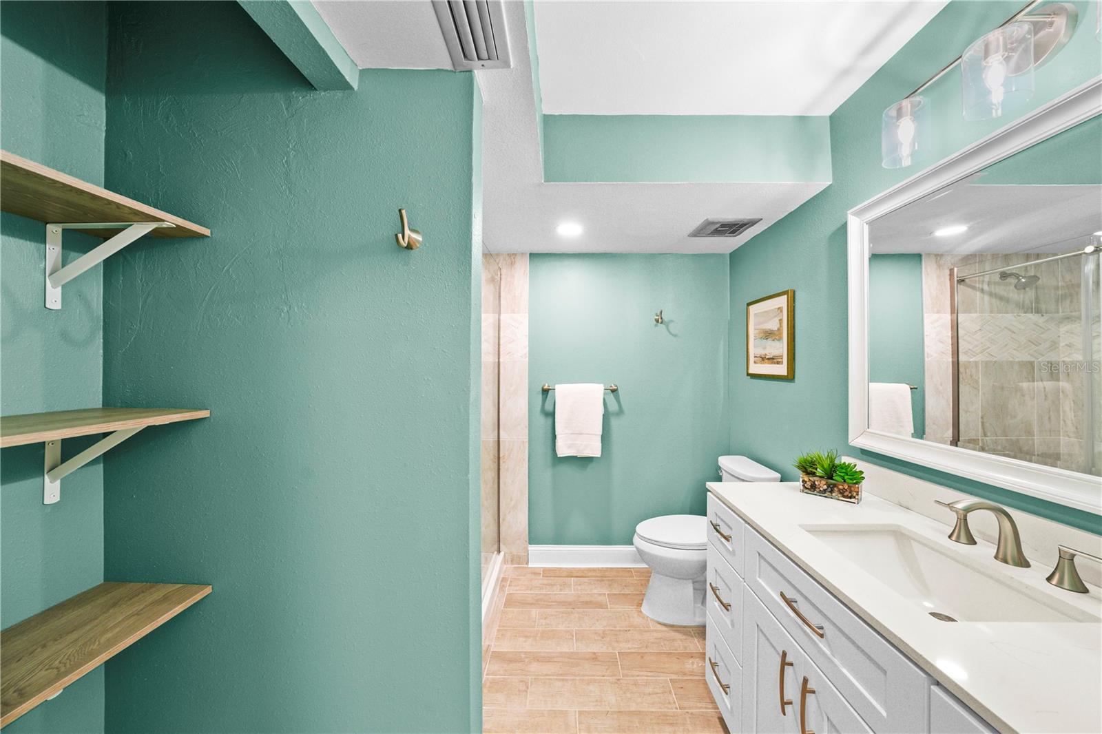 Guest Bathroom, shower no tub.