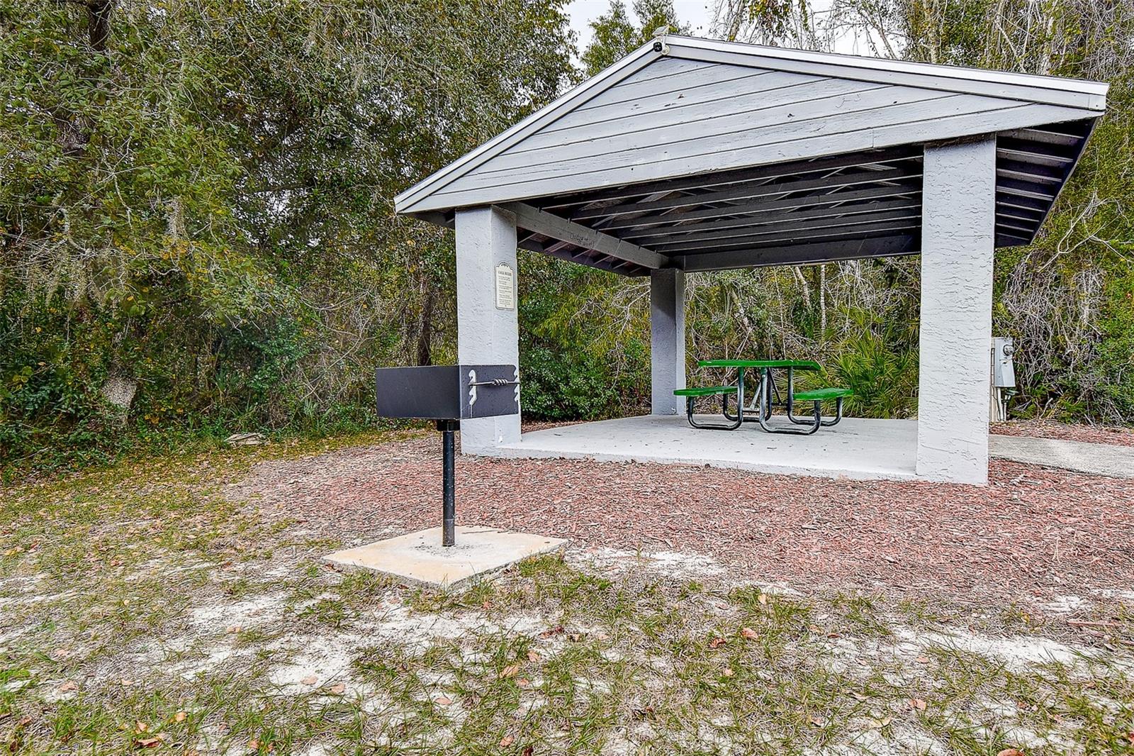 Community Park - gazebo to grill out