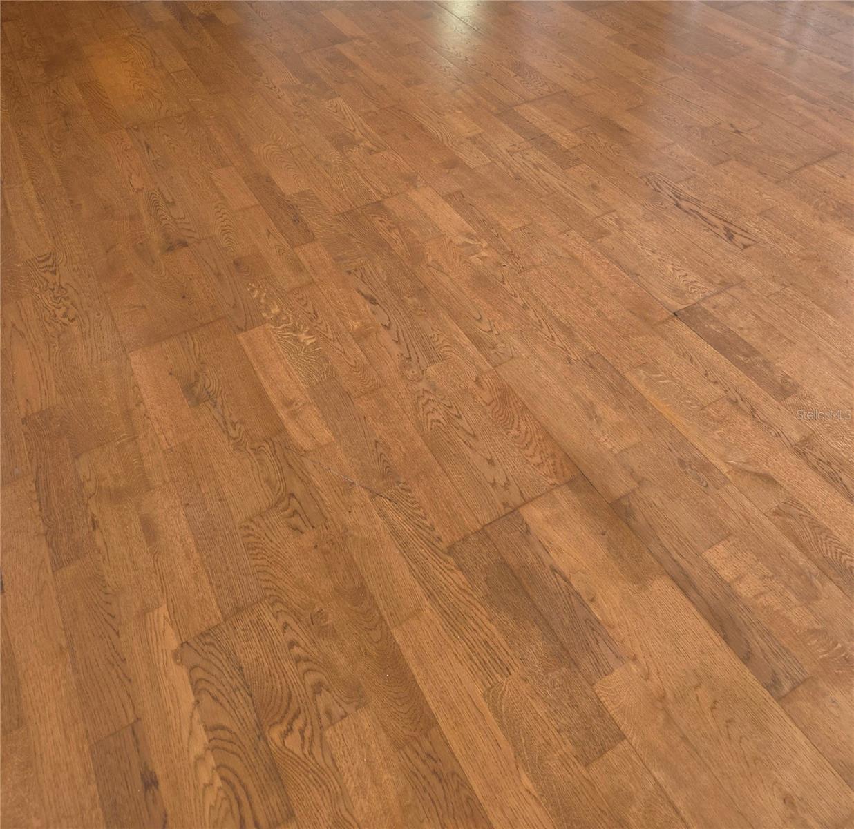 close up of oak floors