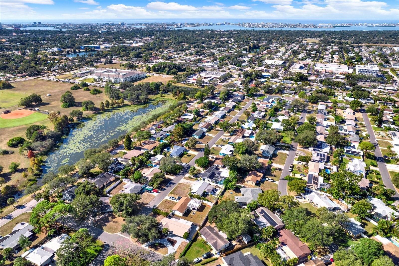 Near by pond view ..