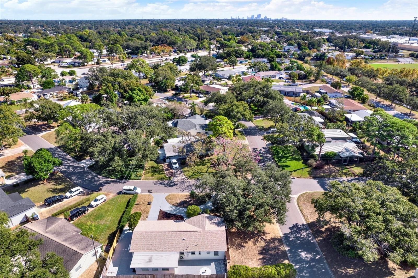 Backyard Aerial view.