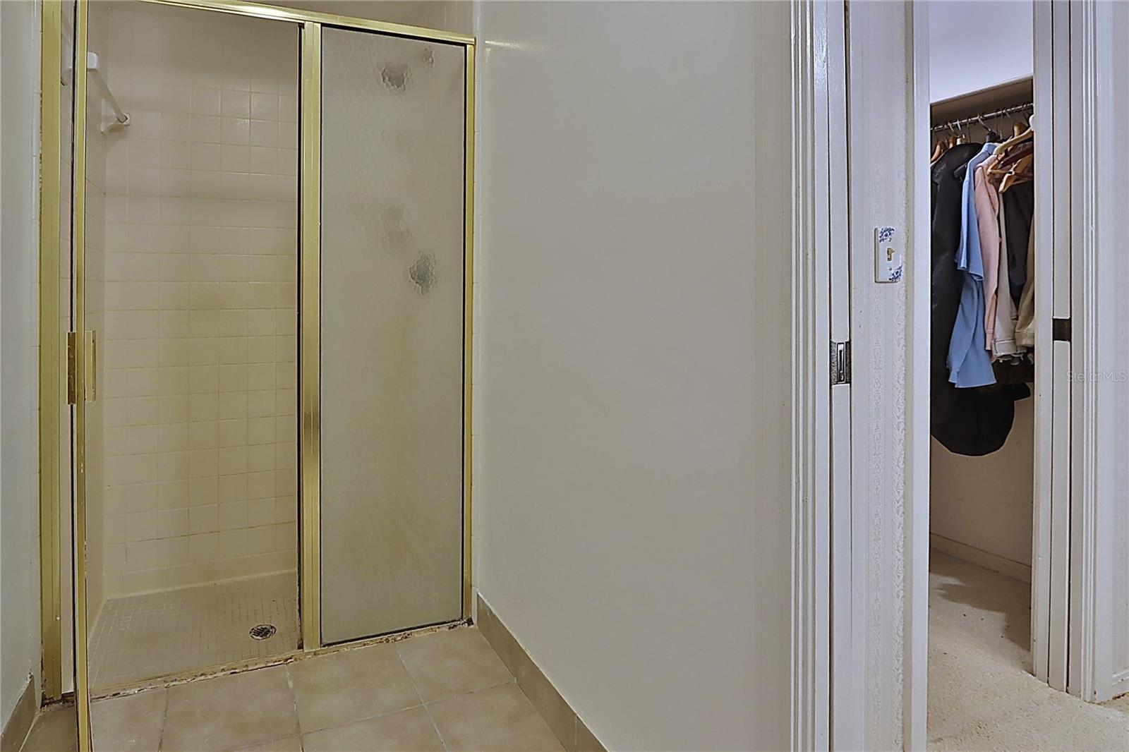 primary bedroom shower and walk in closet