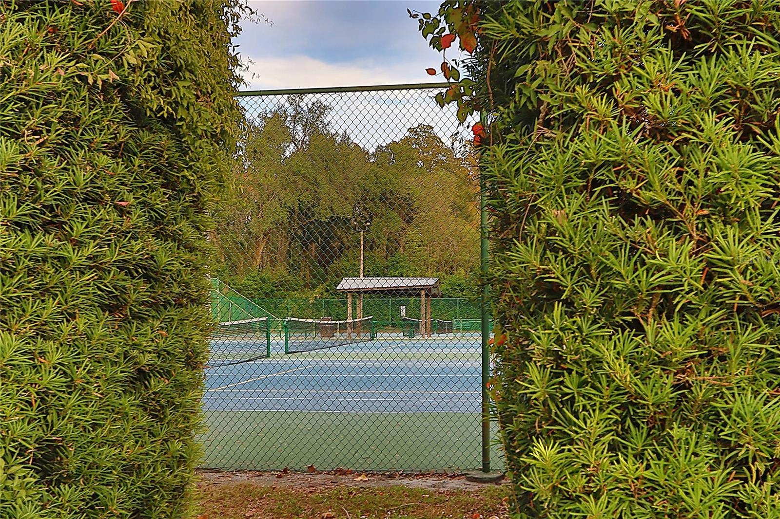 Tennis/pickleball courts
