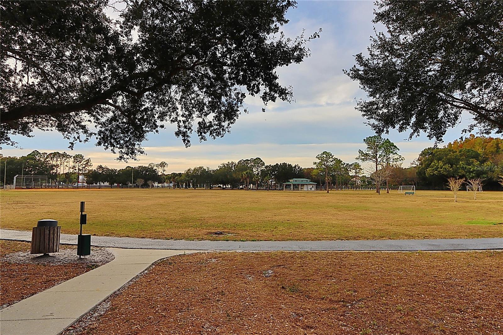 Original Carrollwood Park/Dog Park