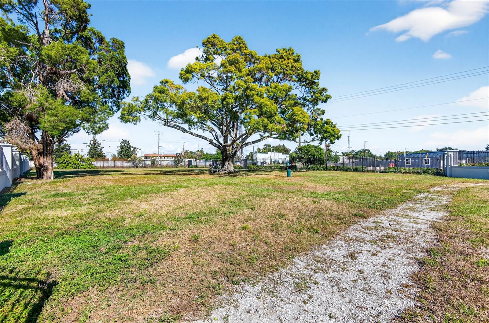 Neighborhood Dog Park