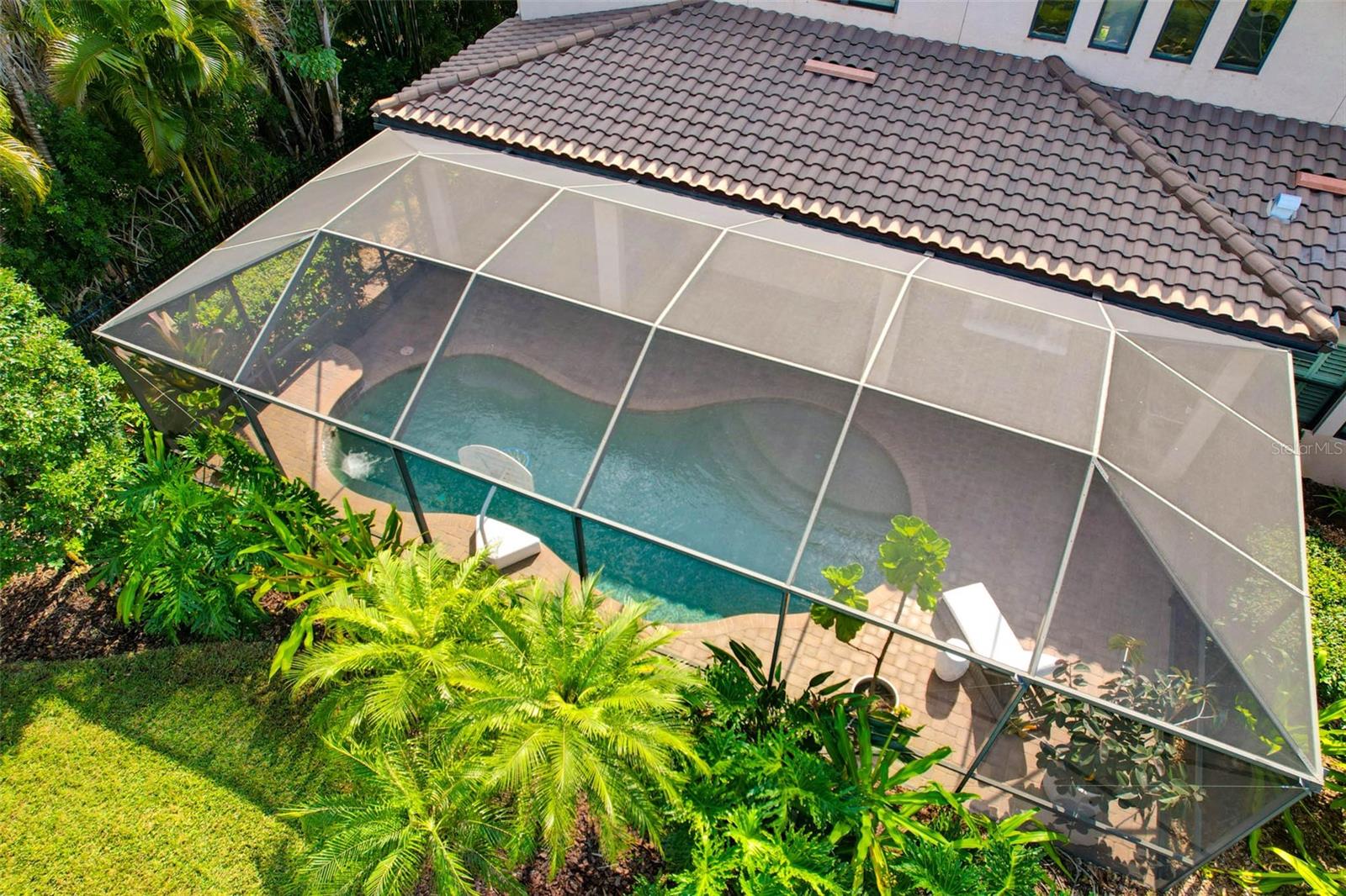 Screened pool and lanai with mature landscaping.