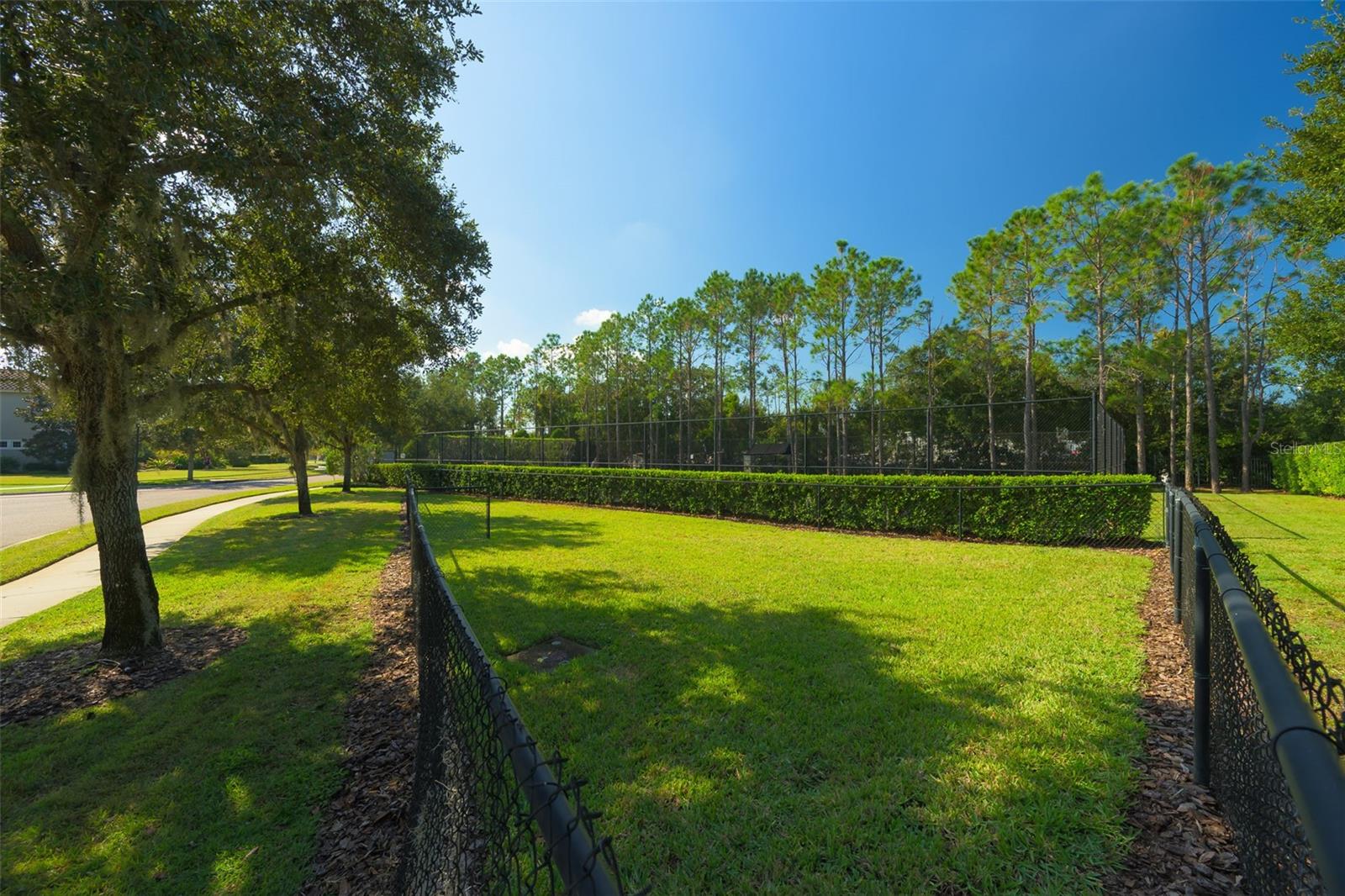 Dog park, tennis court on other side