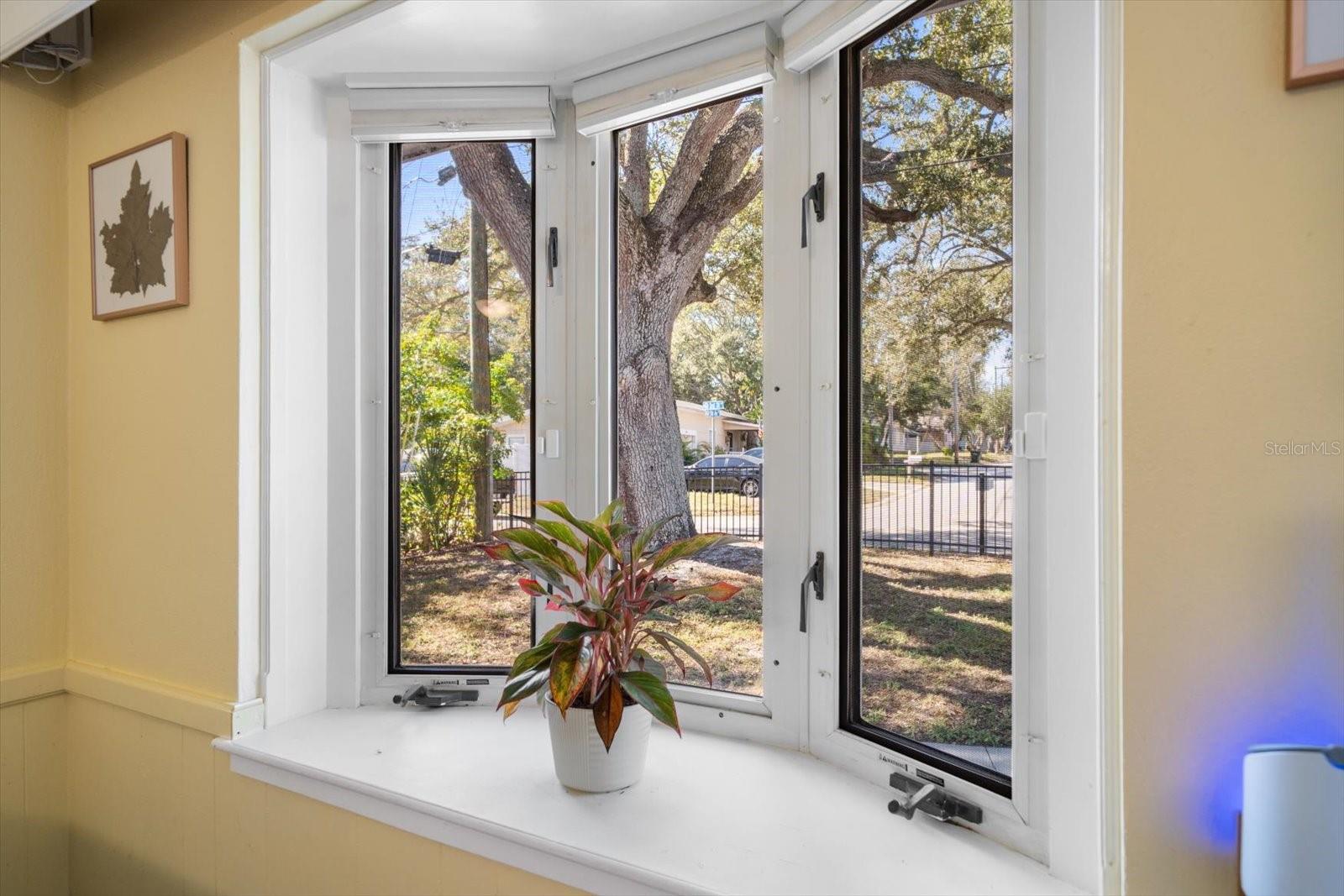 Bay window in kitchen