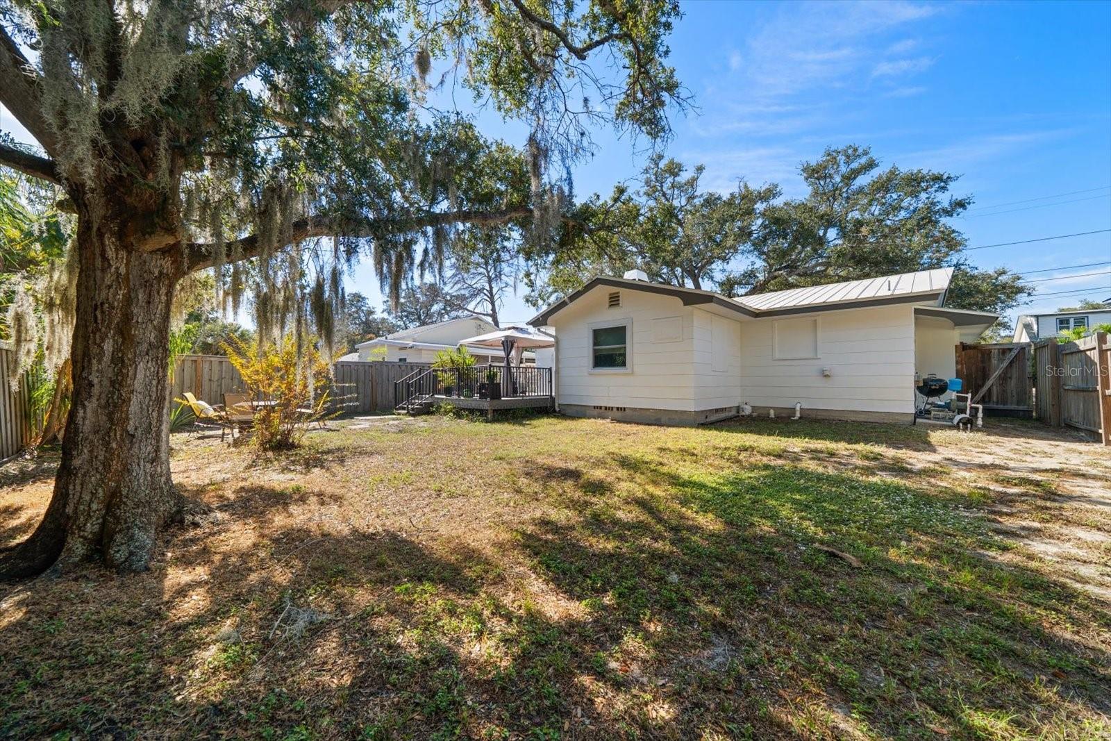 Spacious backyard with shade tree