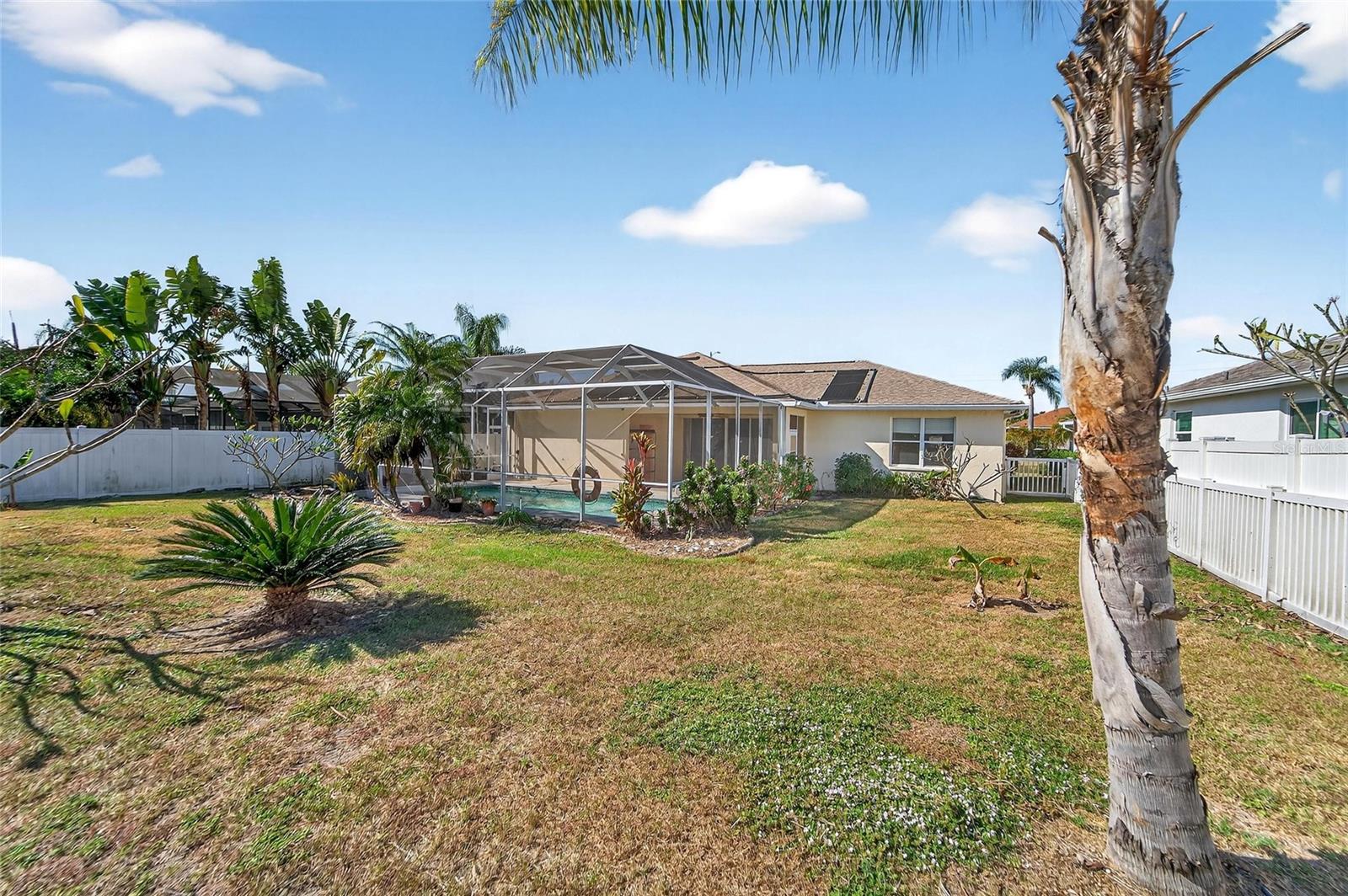 Backside of fenced yard