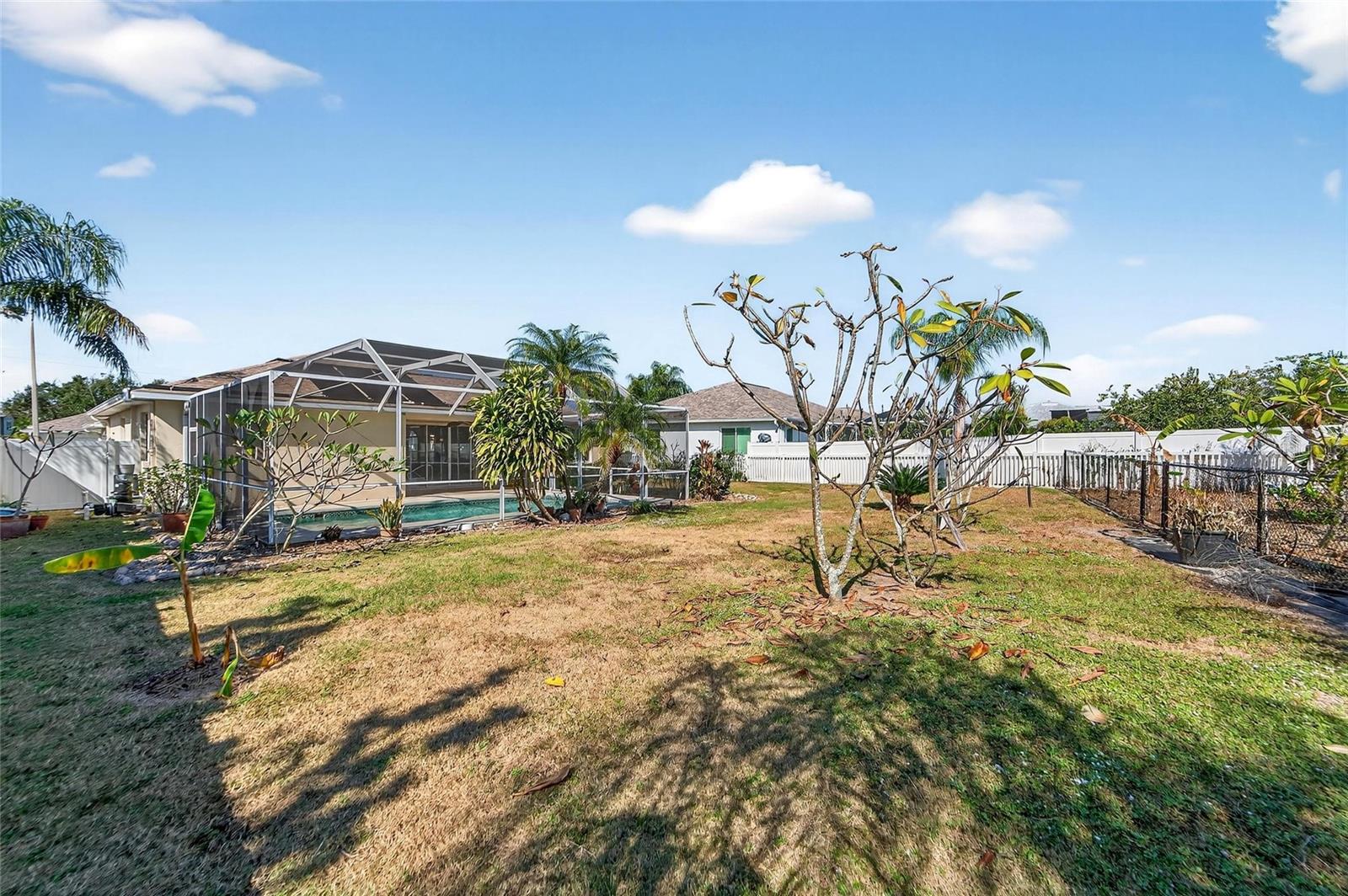 Backside of fenced yard