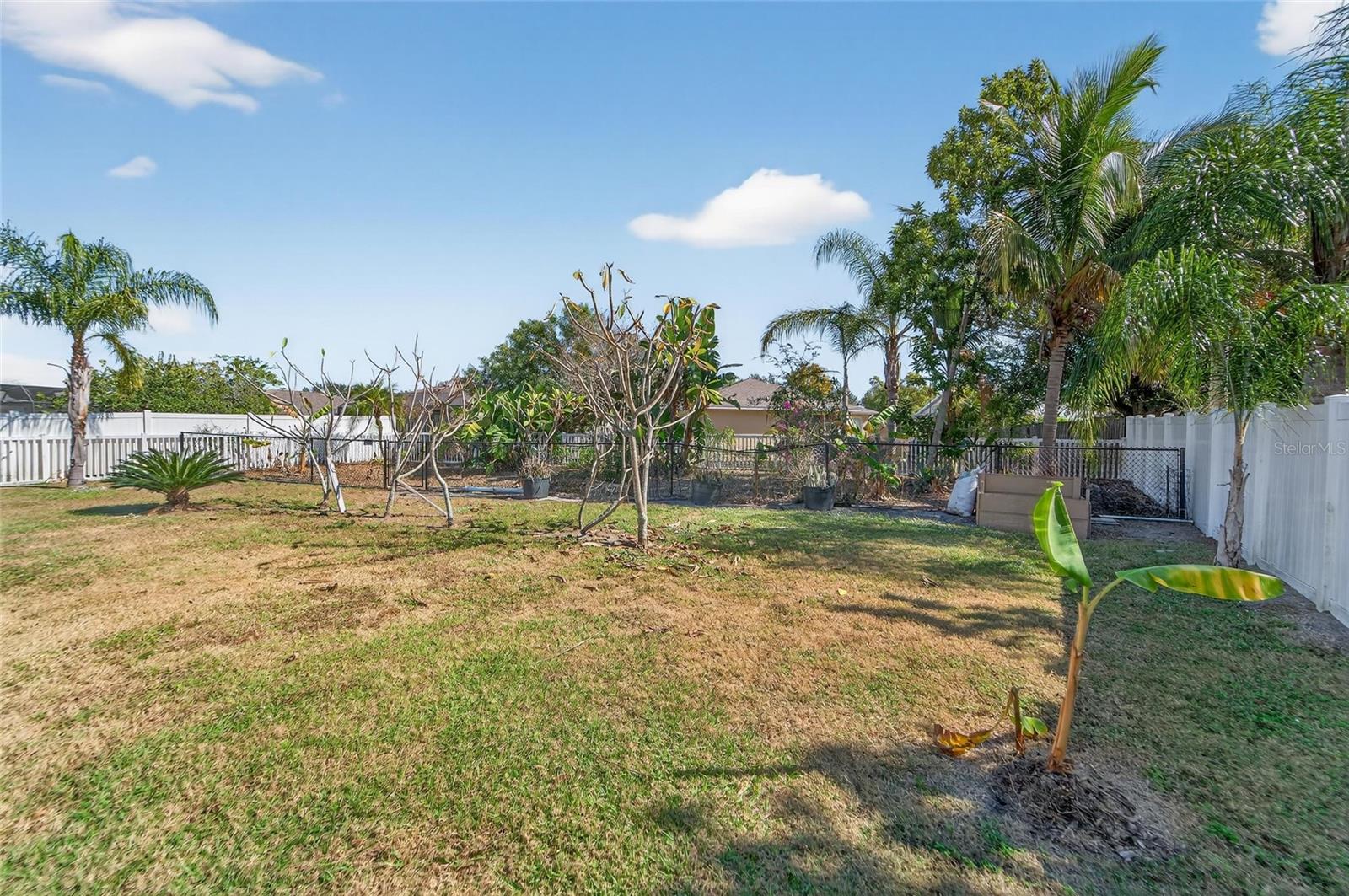 Backside of fenced yard